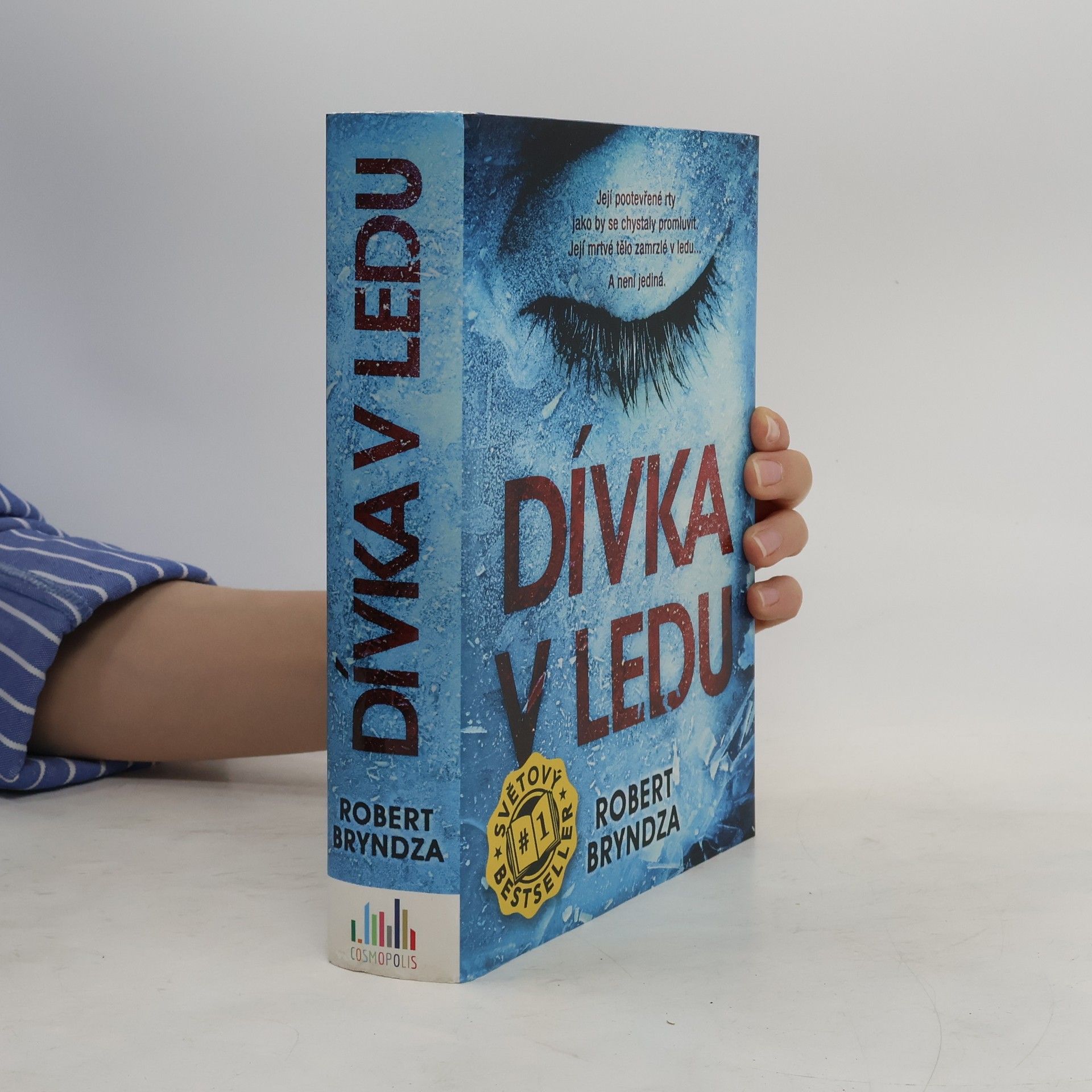 Robert Bryndza Dívka v ledu