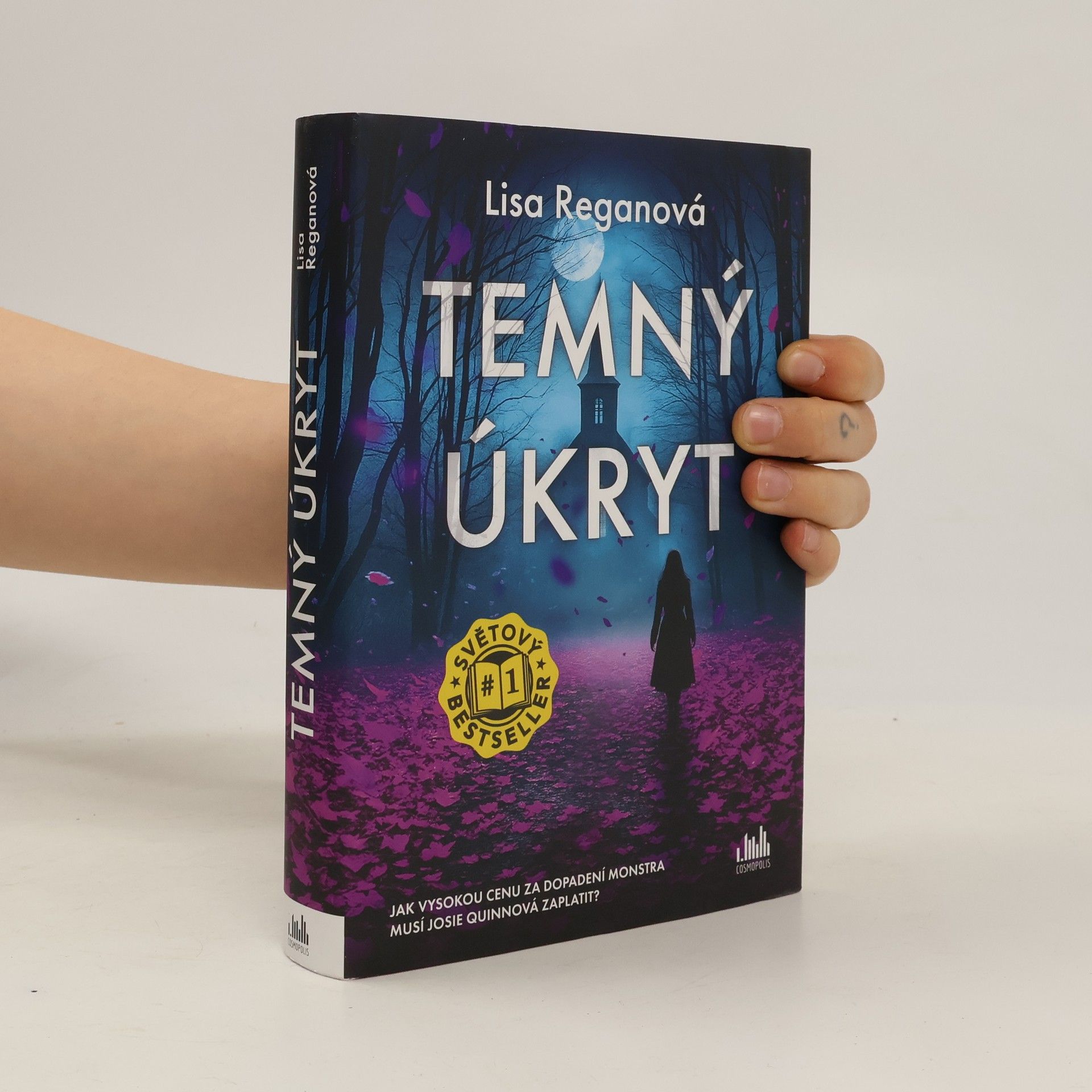 Lisa Regan Temný úkryt
