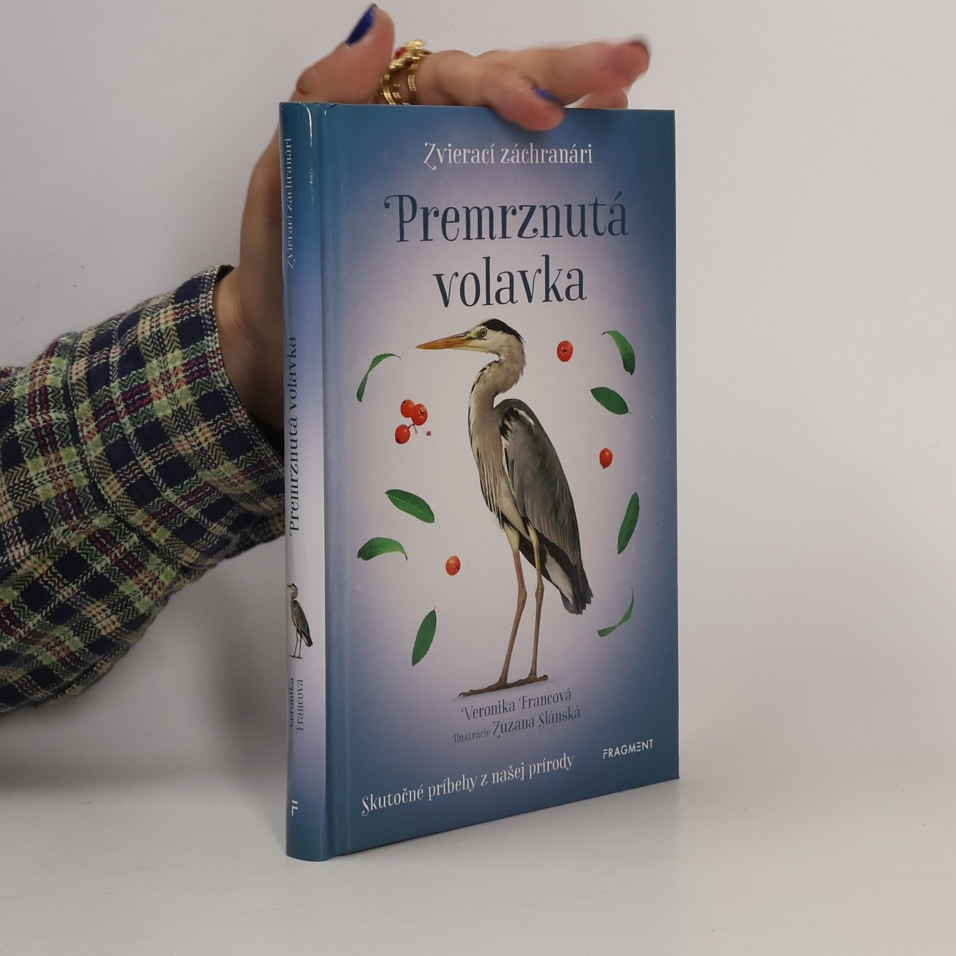 Premrznutá volavka