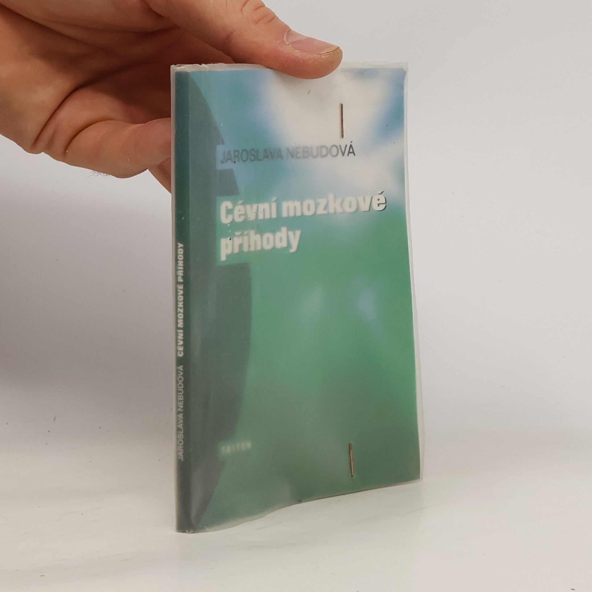 Jaroslava Nebudová Cévní mozkové příhody