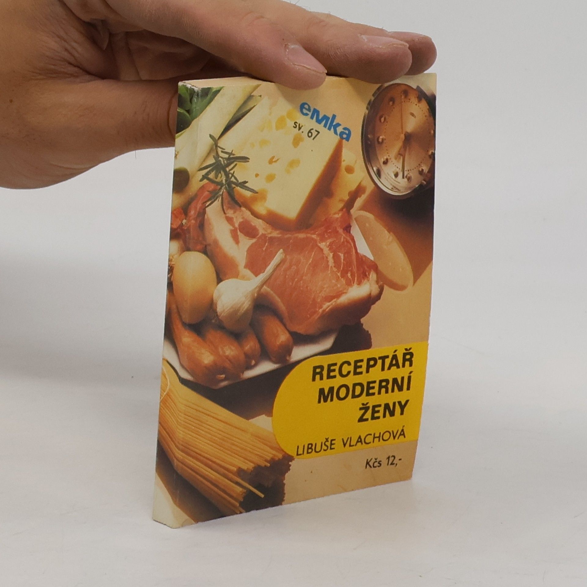 Libuše Vlachová Receptář moderní ženy