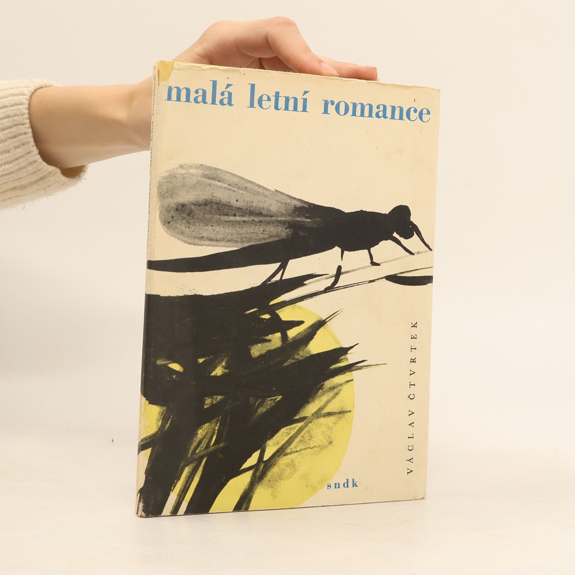 Václav Čtvrtek Malá letní romance