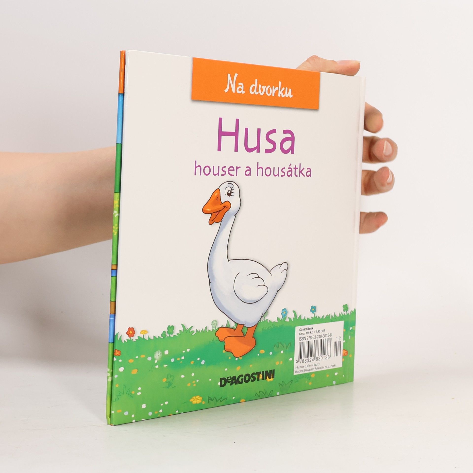 Various authors Na dvorku 29. Husa
