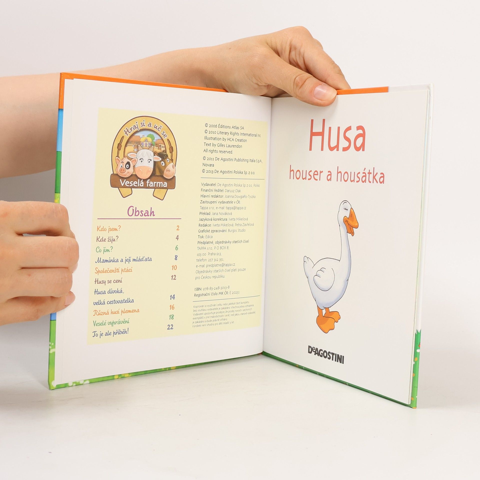 Various authors Na dvorku 29. Husa