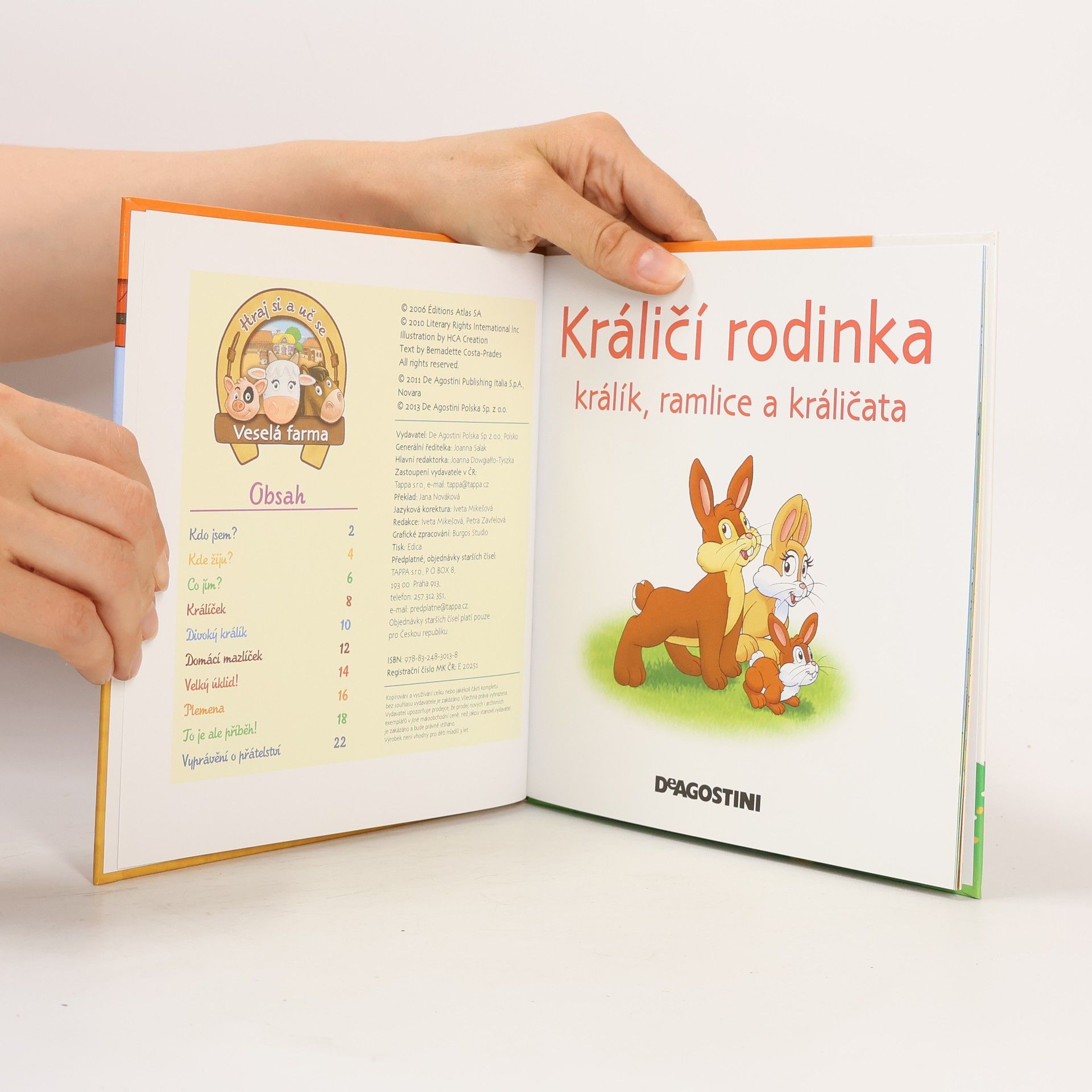 Autorenkollektiv Na dvorku 41. Králičí rodinka
