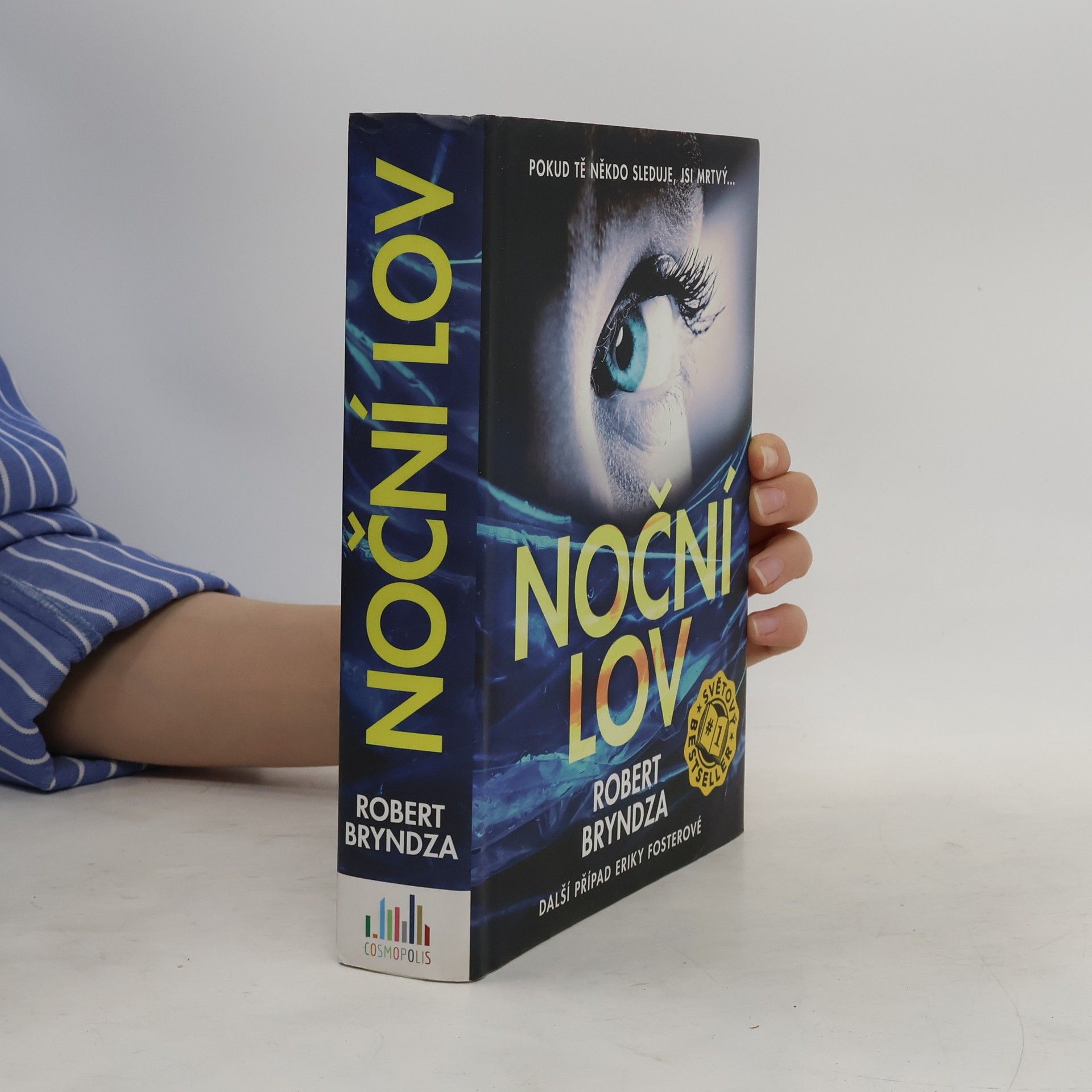Robert Bryndza Noční lov