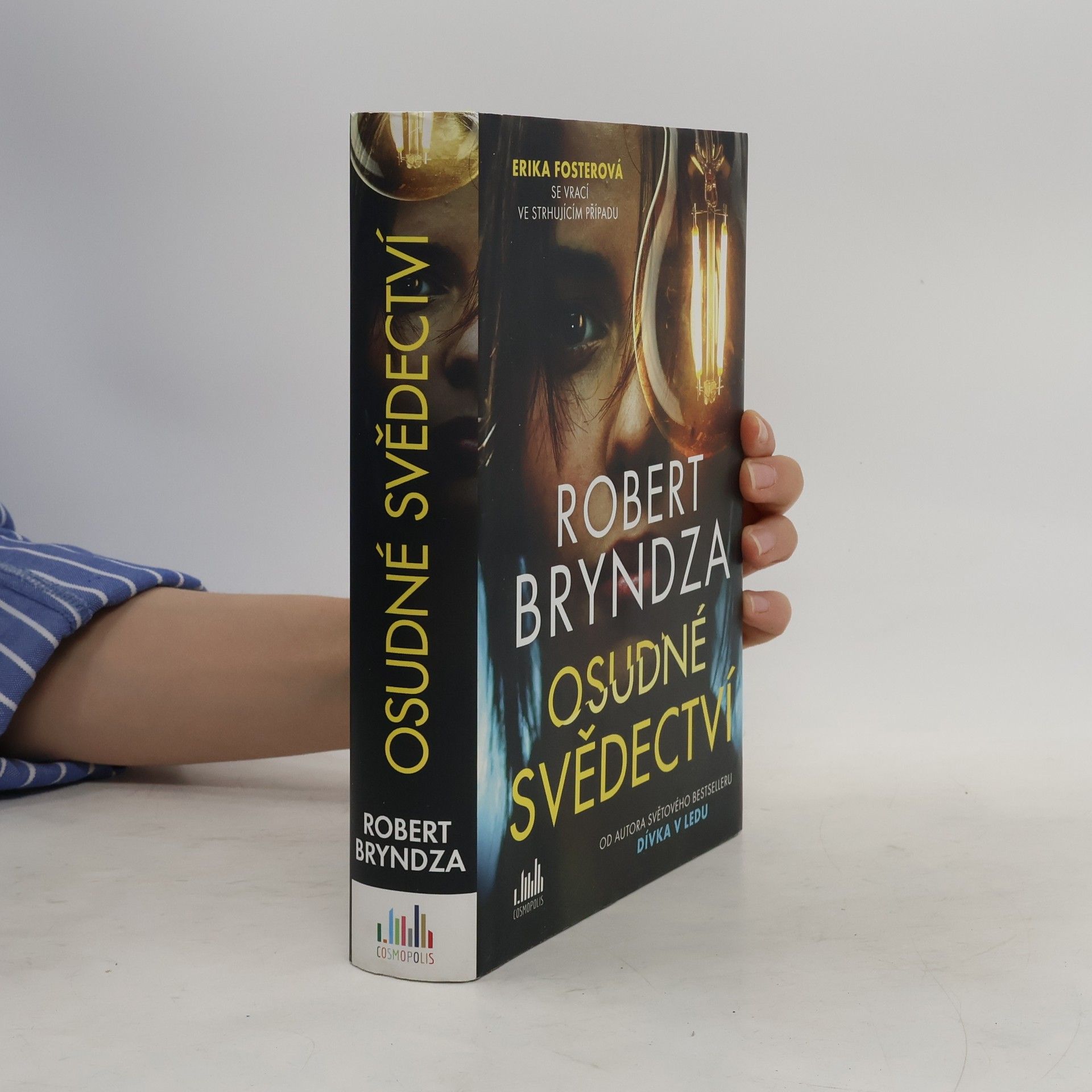 Robert Bryndza Osudné svědectví