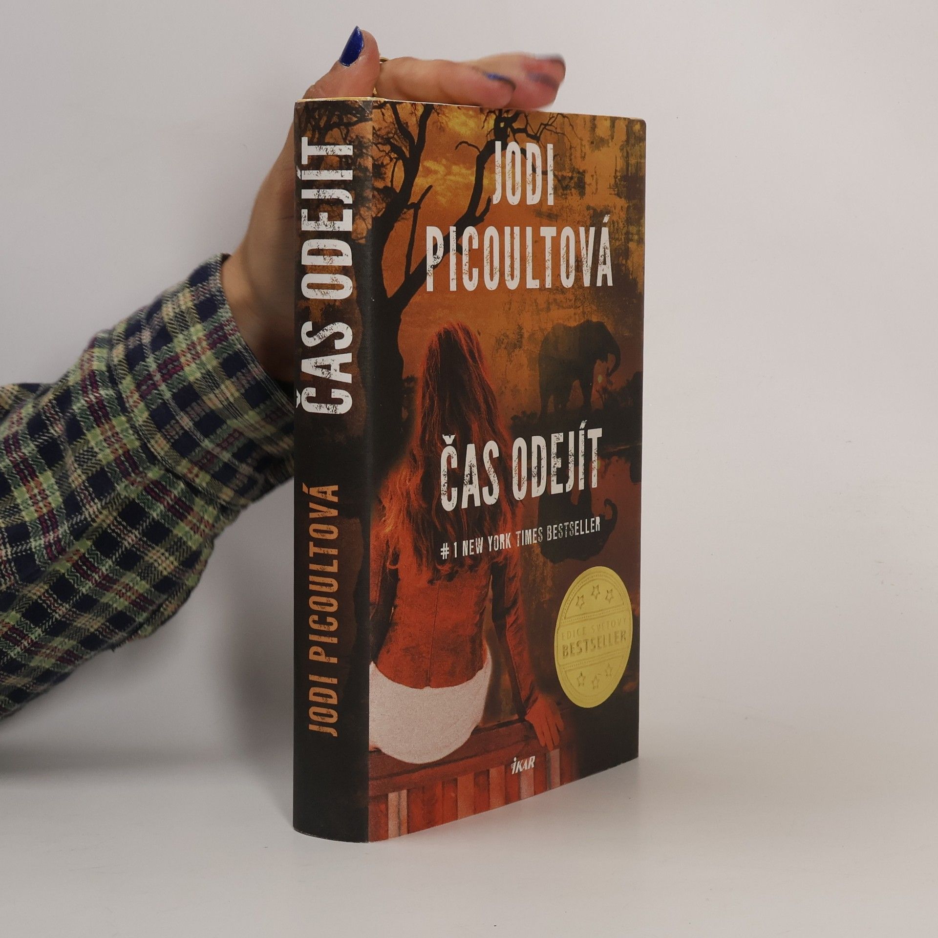 Jodi Picoult Čas odejít