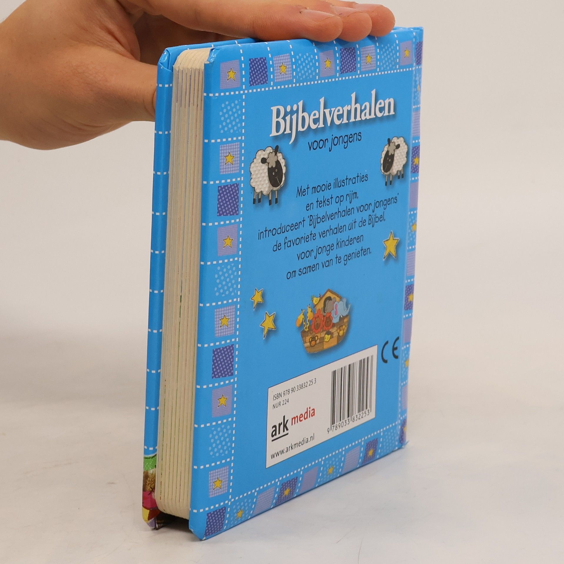Aart de Bonte Bijbelverhalen voor jongens