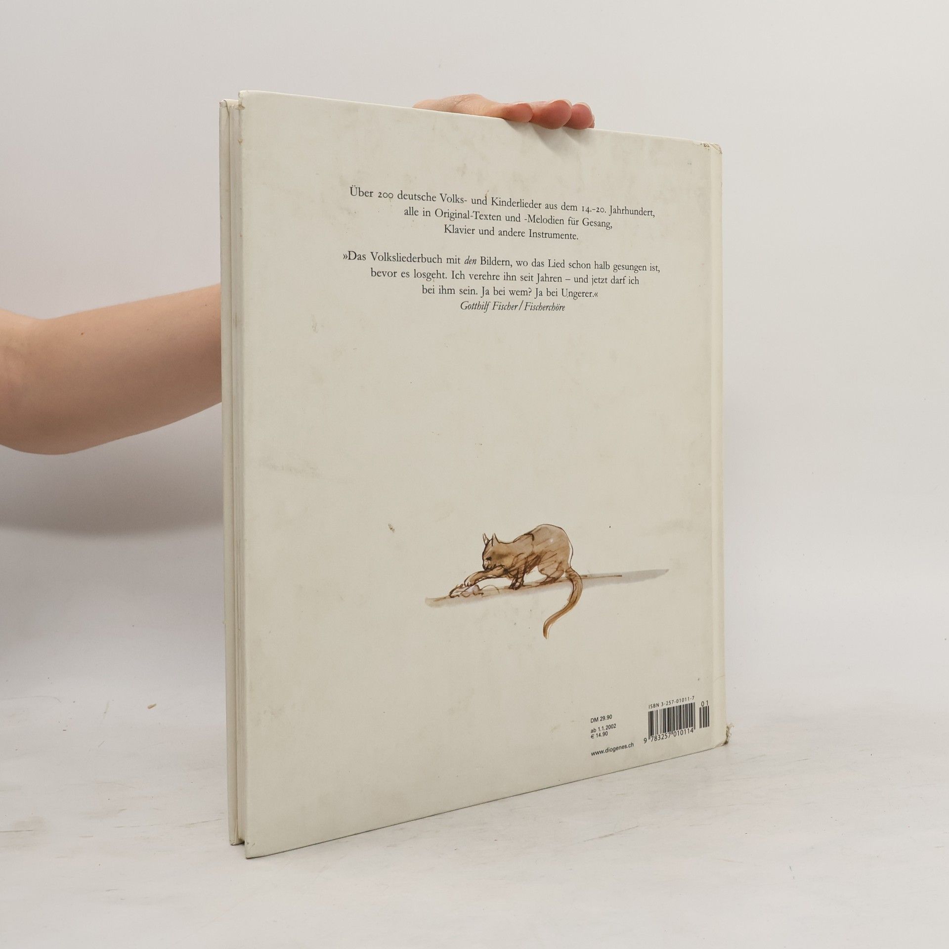 Anne Diekmann Das große Liederbuch