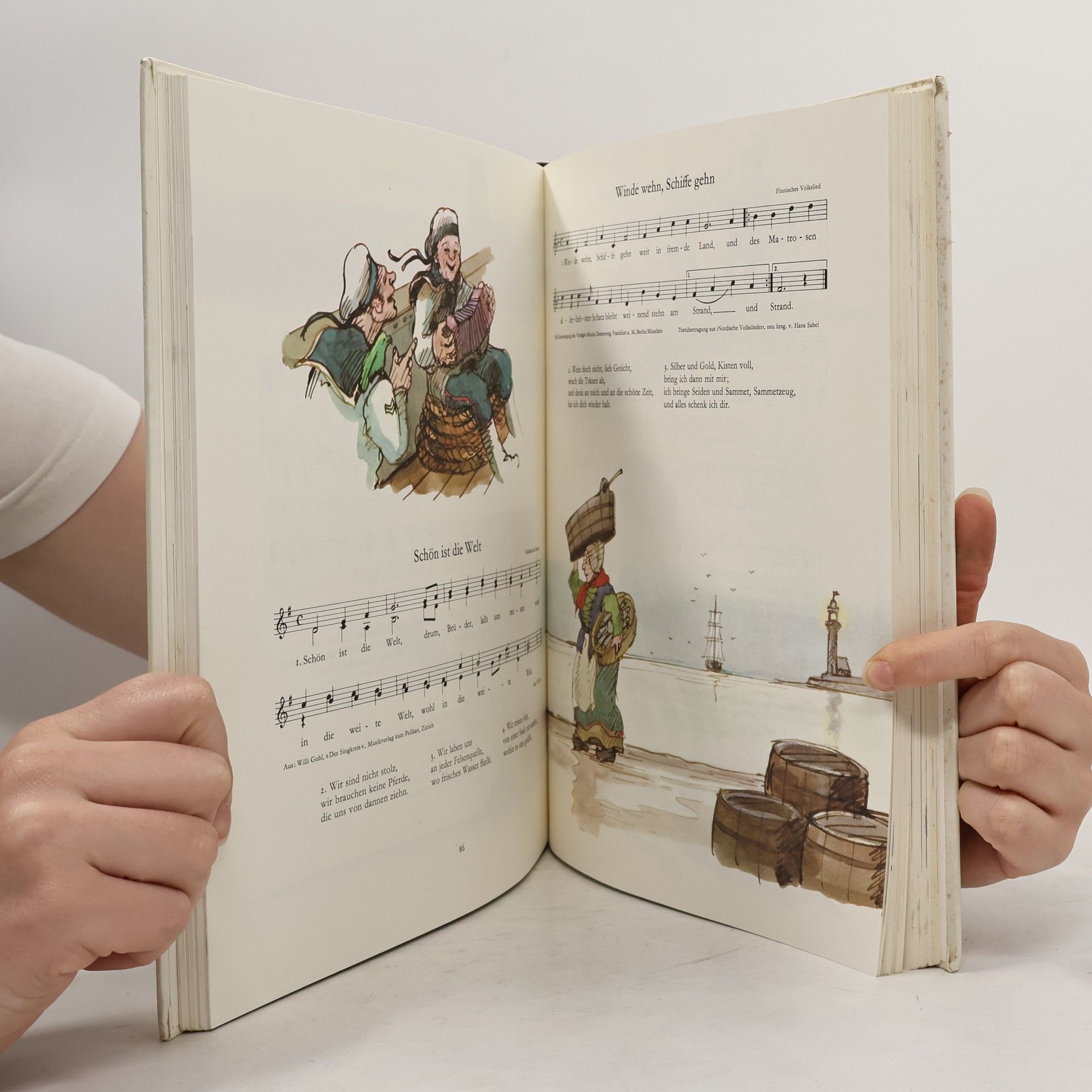Anne Diekmann Das große Liederbuch