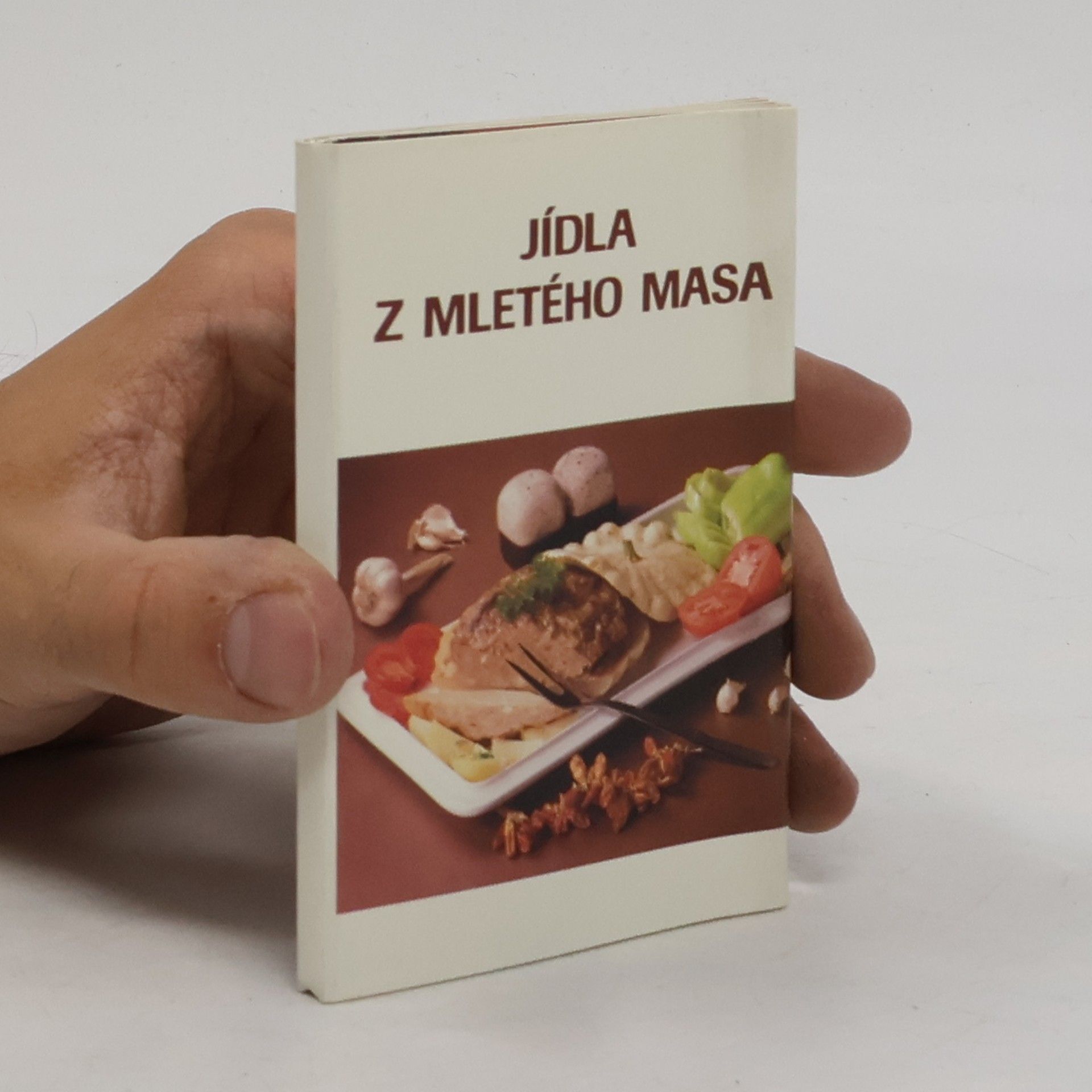 Various authors Jídla z mletého masa