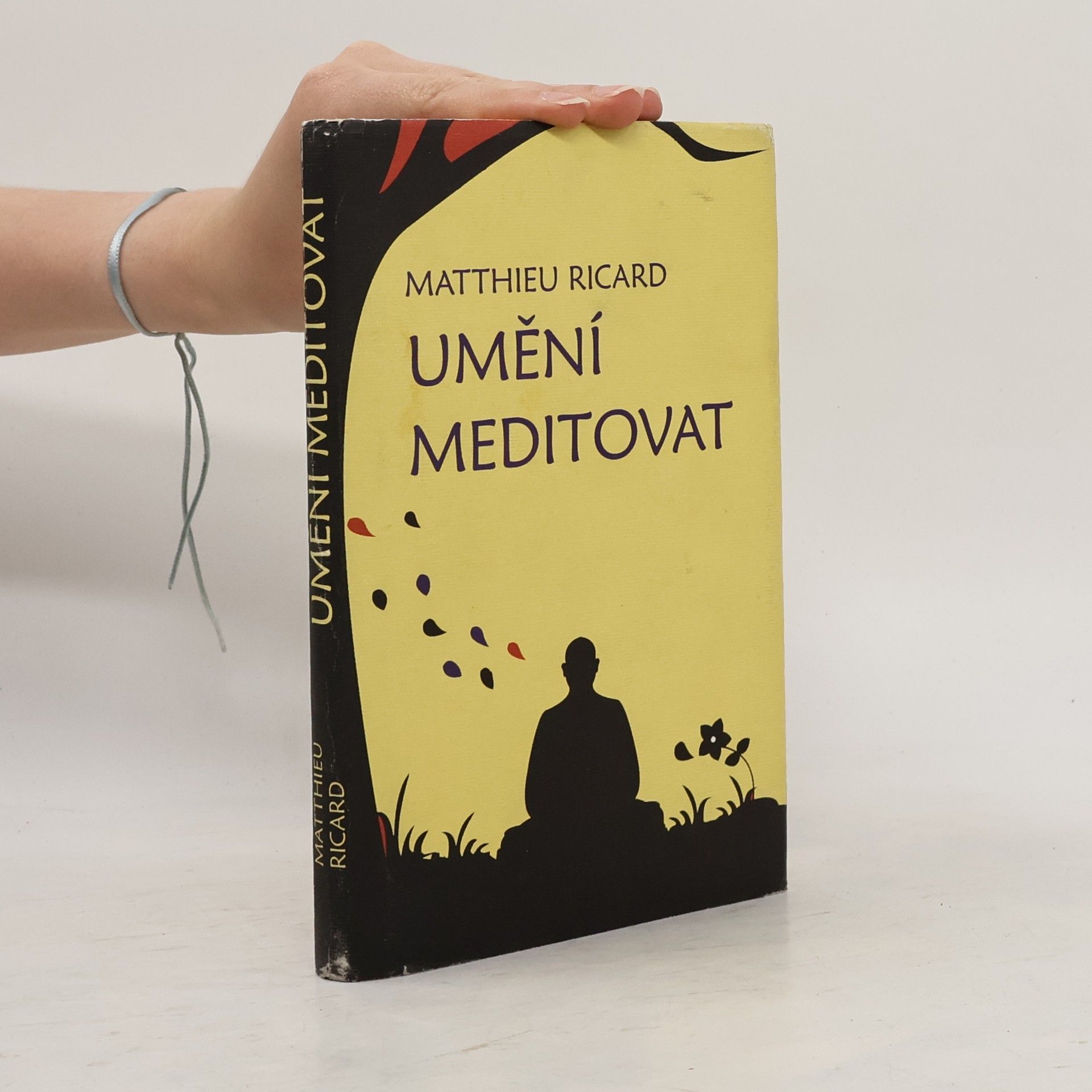Matthieu Ricard Umění meditovat