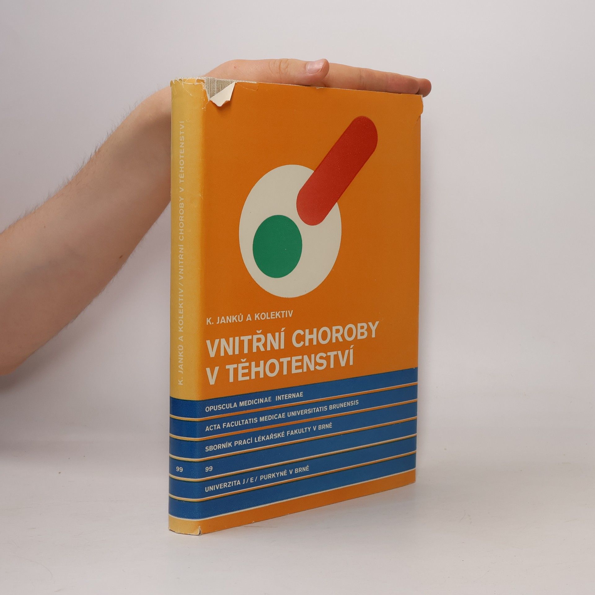 Autorenkollektiv Vnitřní choroby v těhotenství