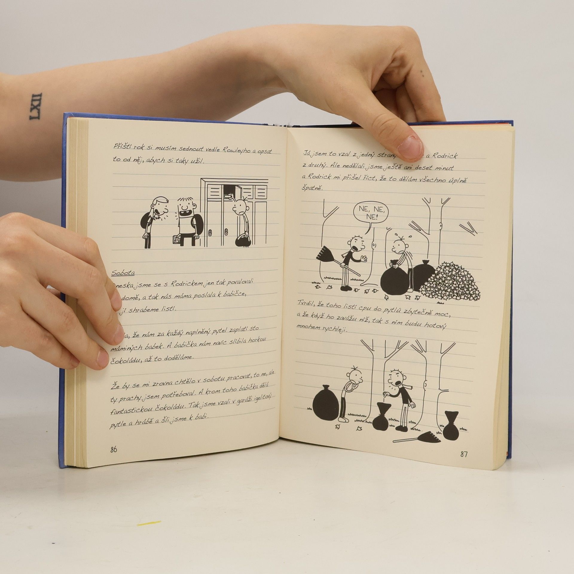 Jeff Kinney Deník malého poseroutky 2. Rodrick je king