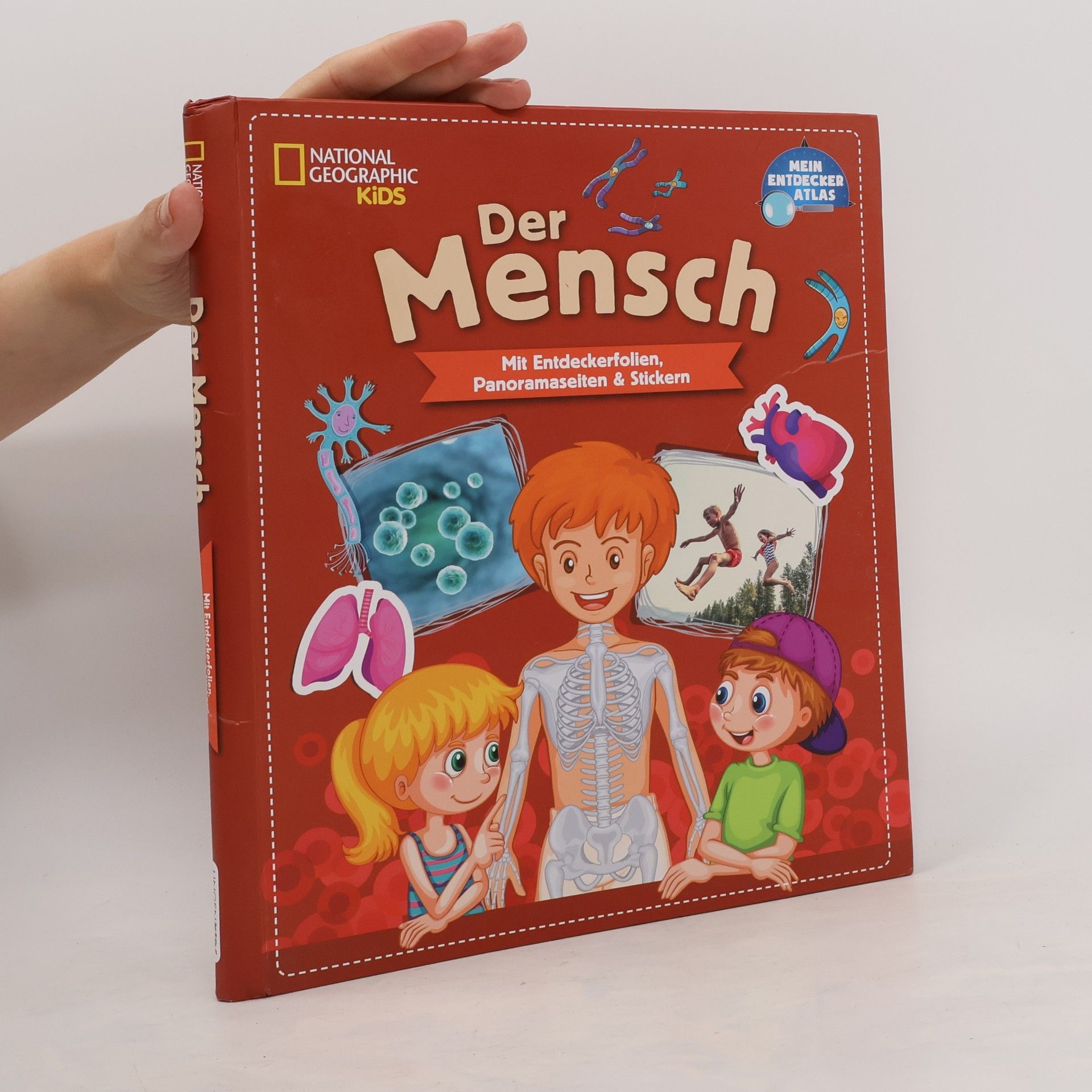 Autorenkollektiv Der Mensch
