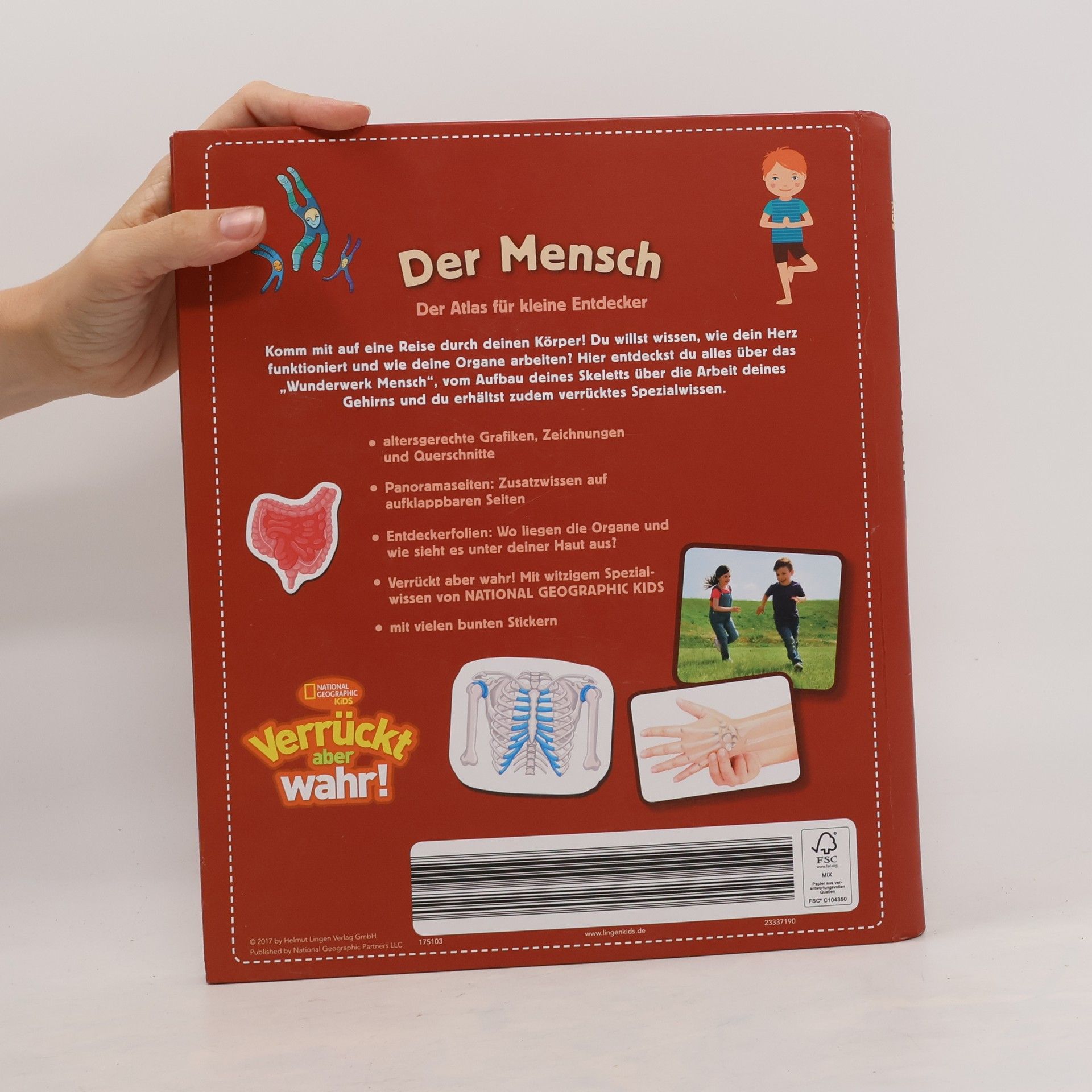 Autorenkollektiv Der Mensch