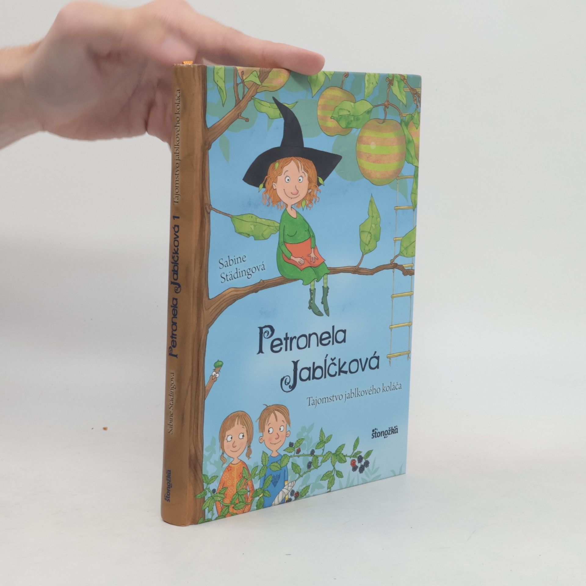 Sabine Städing Tajomstvo jablkového koláča