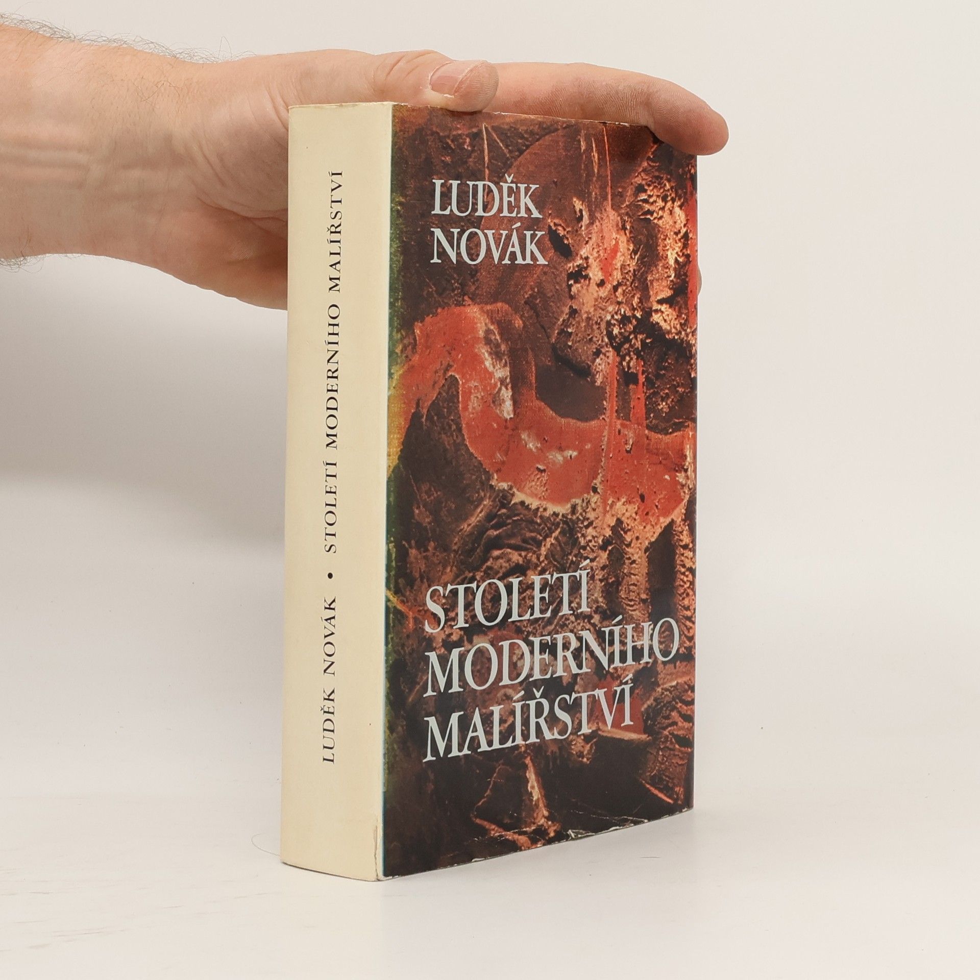 Luděk Novák Století moderního malířství 1865-1965