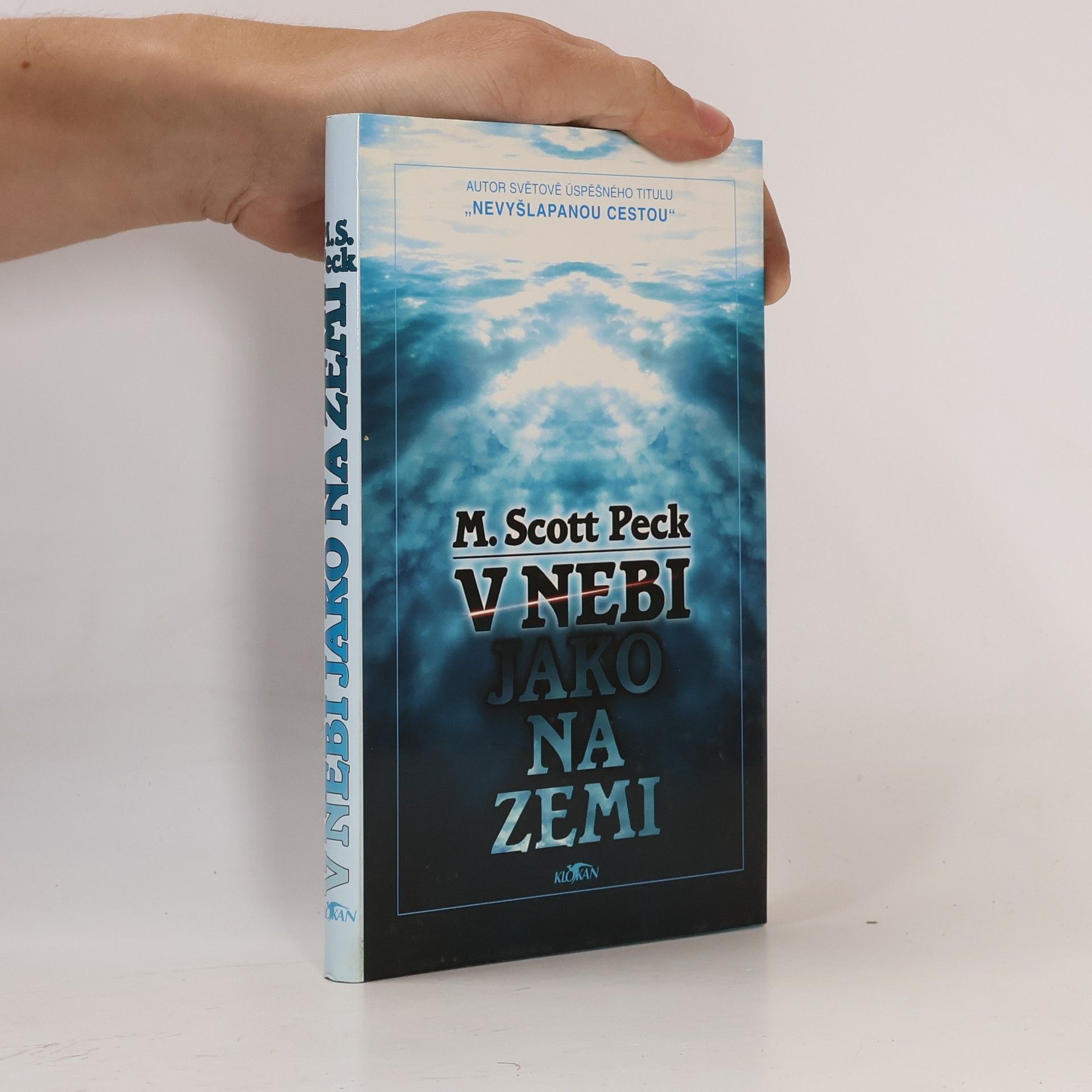 Irena Palová V nebi jako na zemi