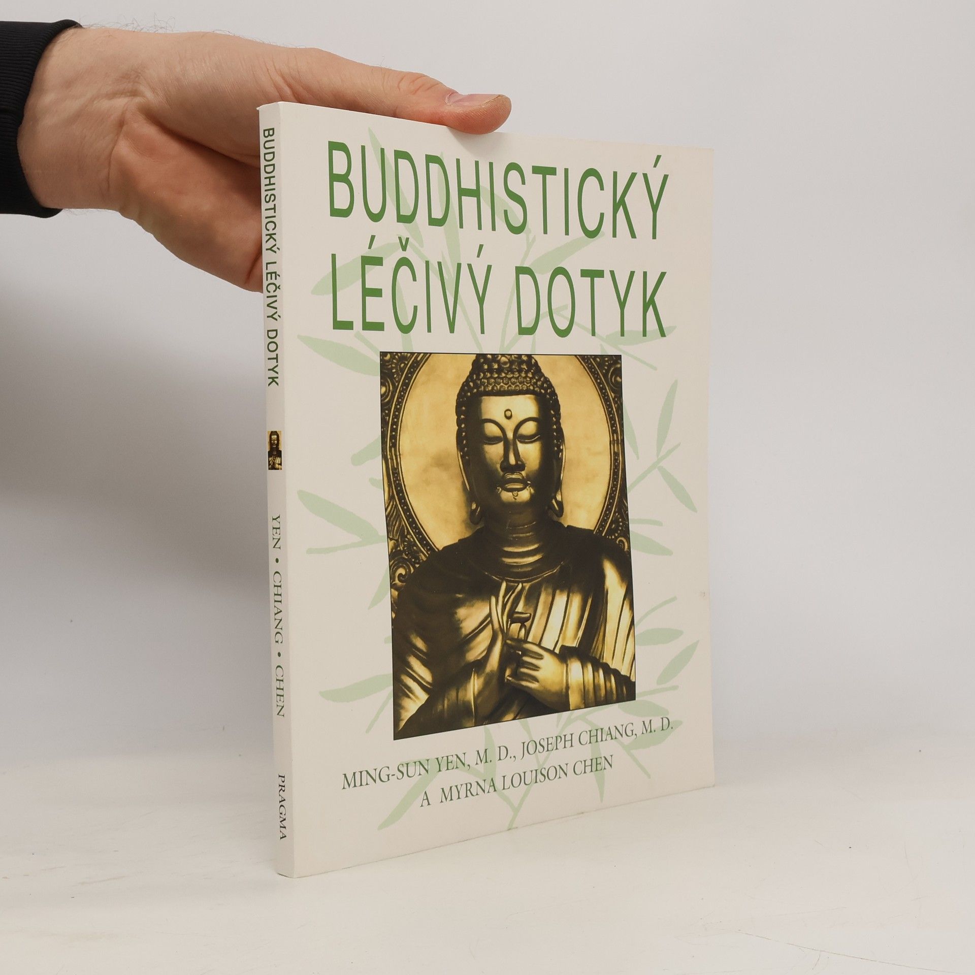 Myrna Louison Chen Buddhistický léčivý dotyk