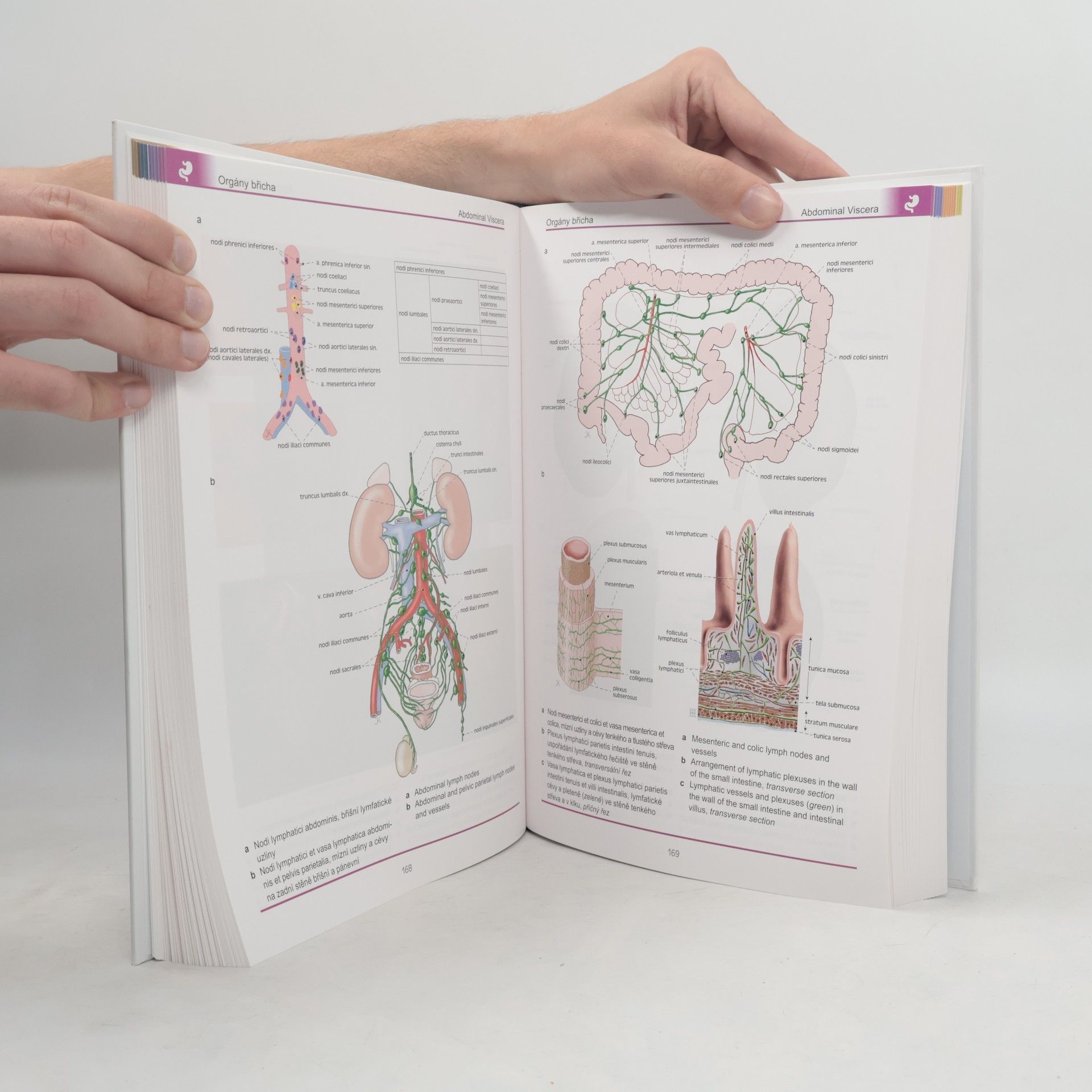 Ondřej Naňka Atlas anatomie člověka II. - Hlava a krk, vnitřní orgány, neuroanatomie