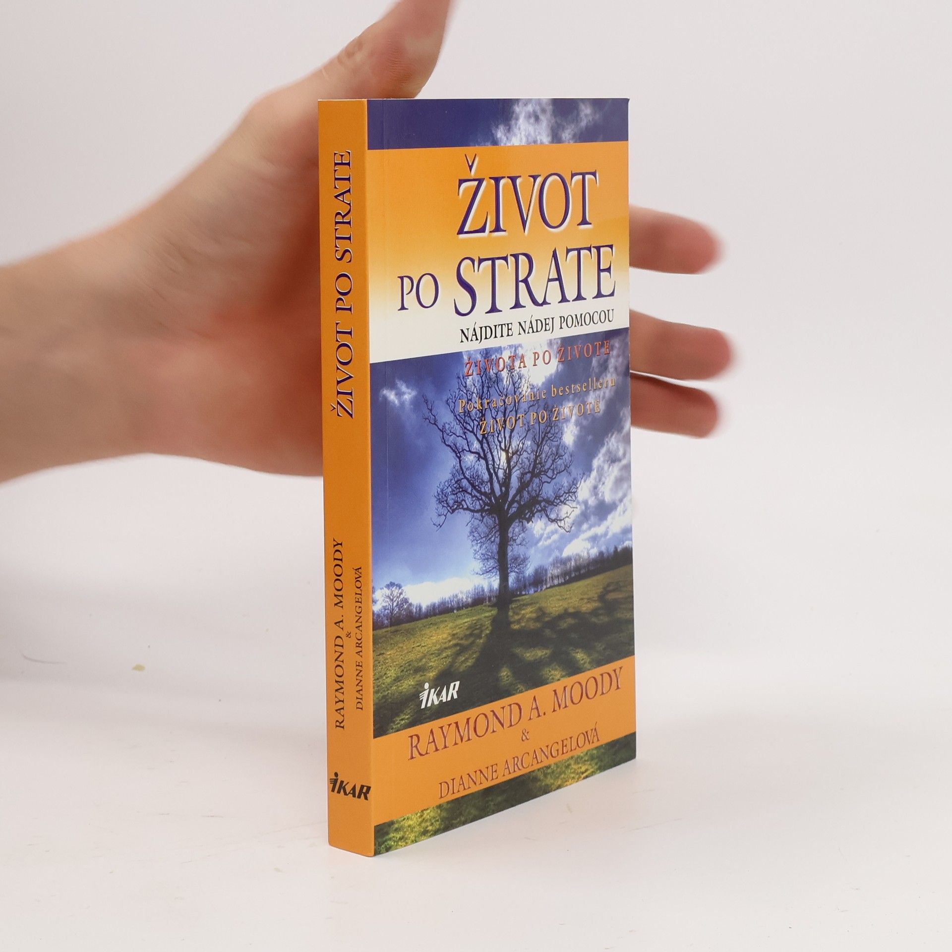 Raymond Moody Život po strate