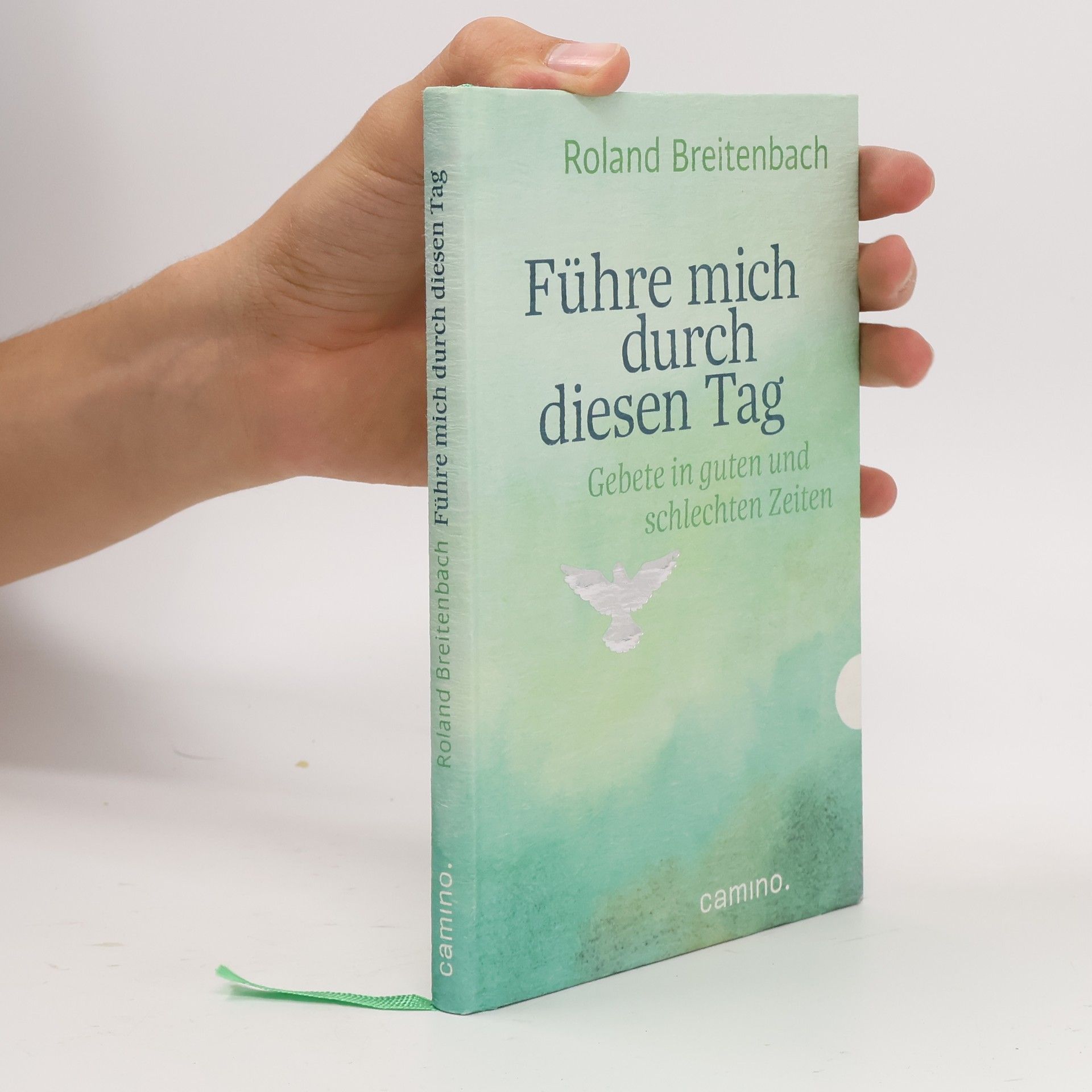 Roland Breitenbach Führe mich durch diesen Tag
