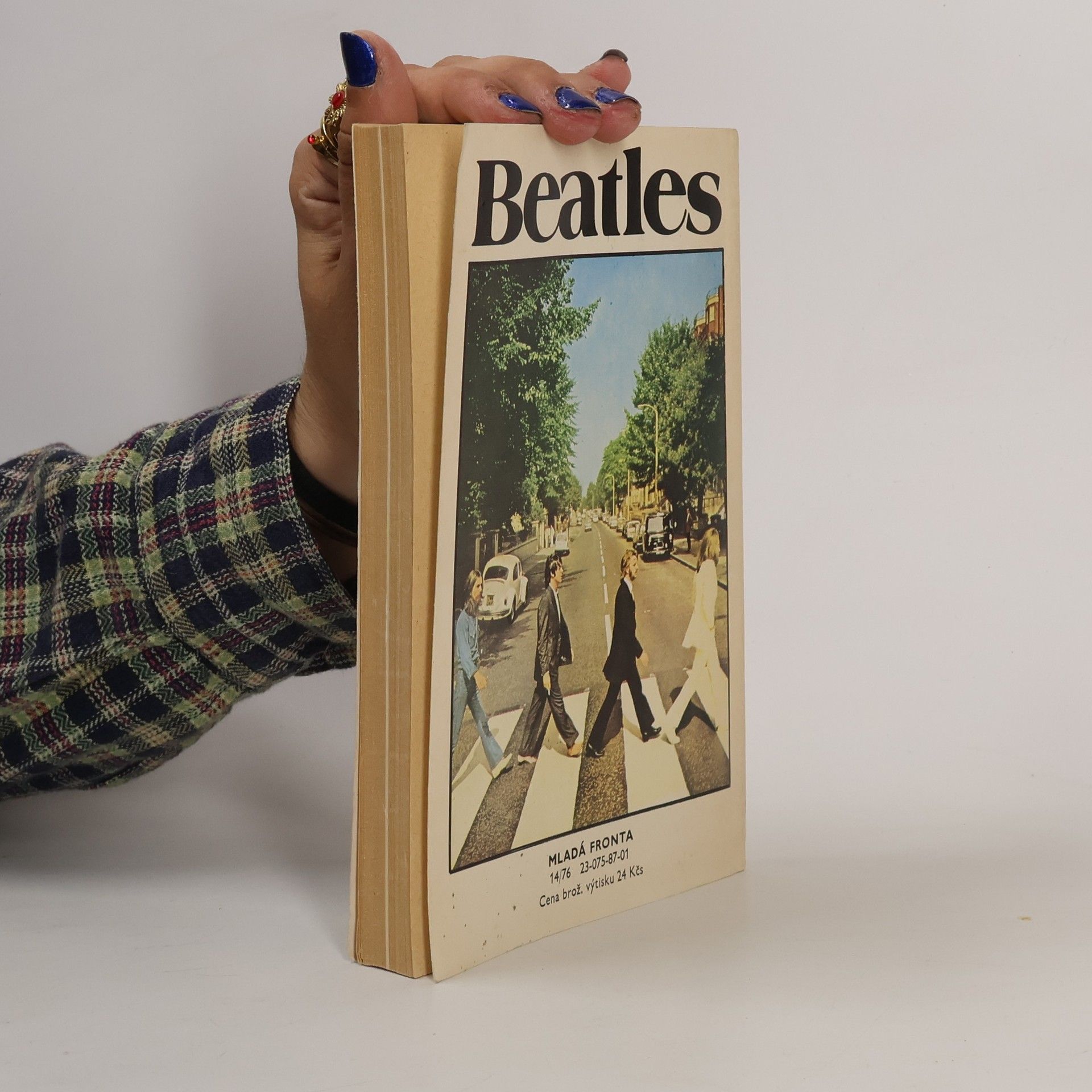 Antonín Matzner Beatles
