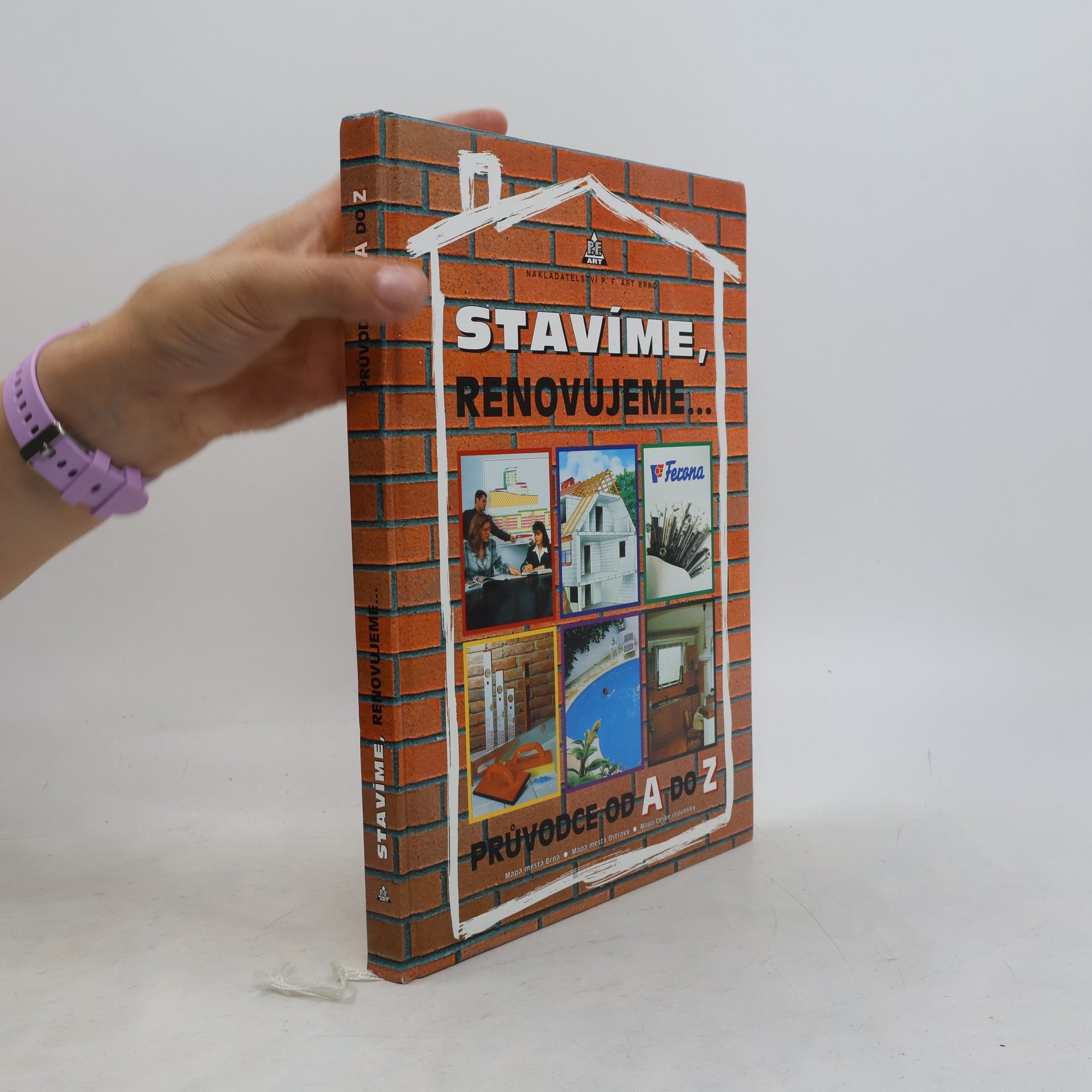 Kolektiv autorů Stavíme, renovujeme...