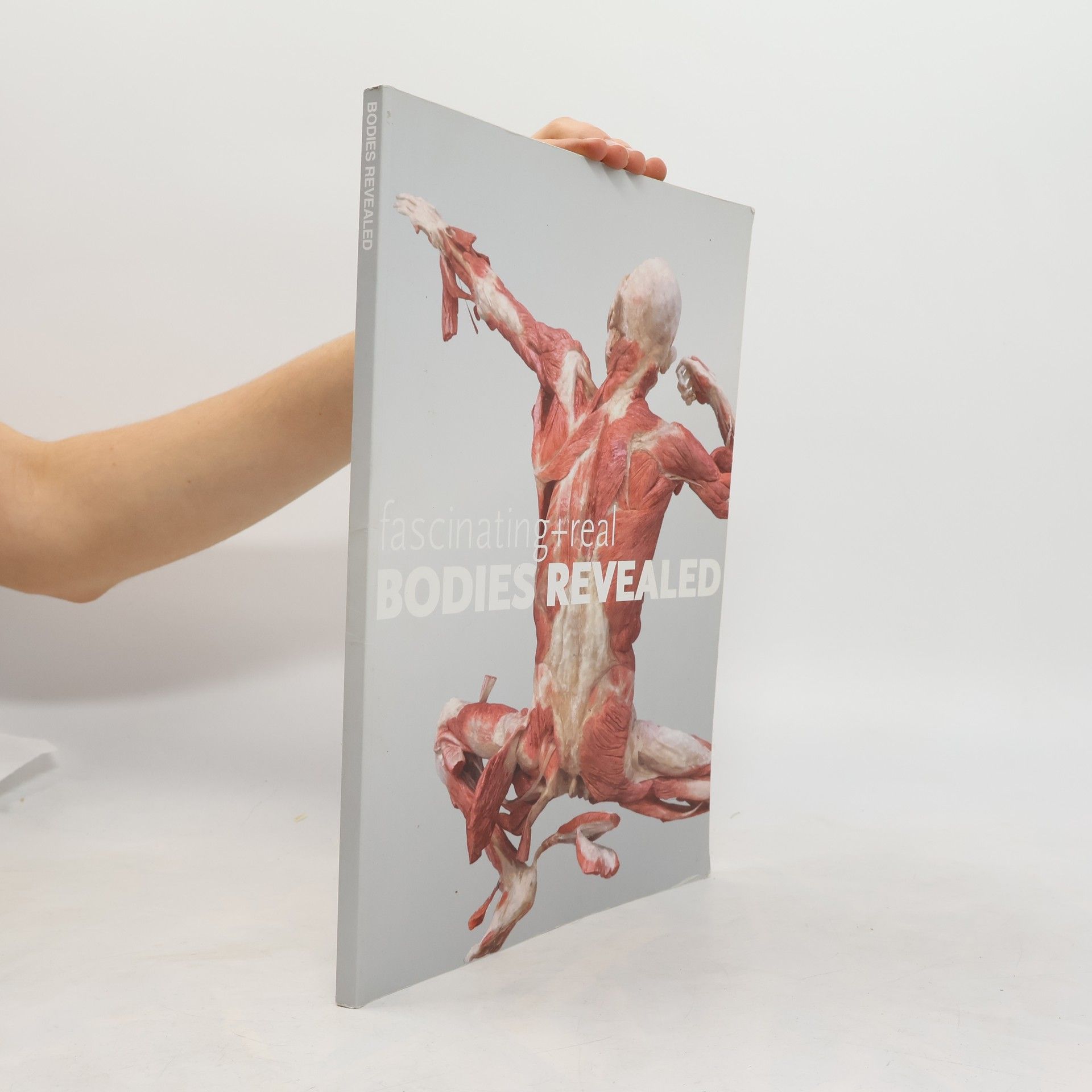 Autorenkollektiv Bodies revealed