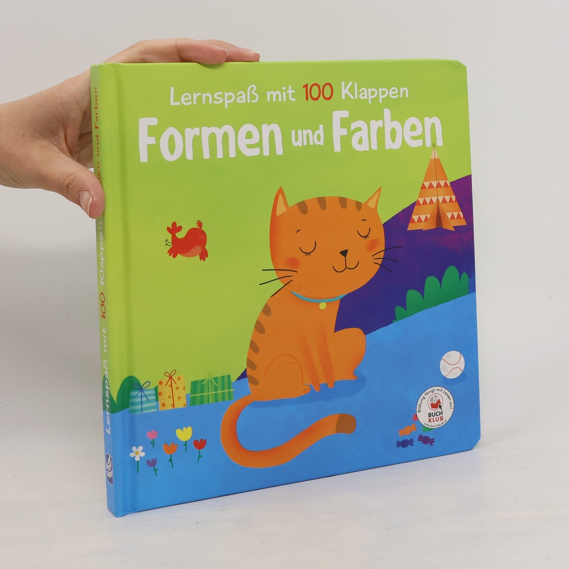 Autorenkollektiv Lernspaß mit 100 Klappen. Formen und Farben