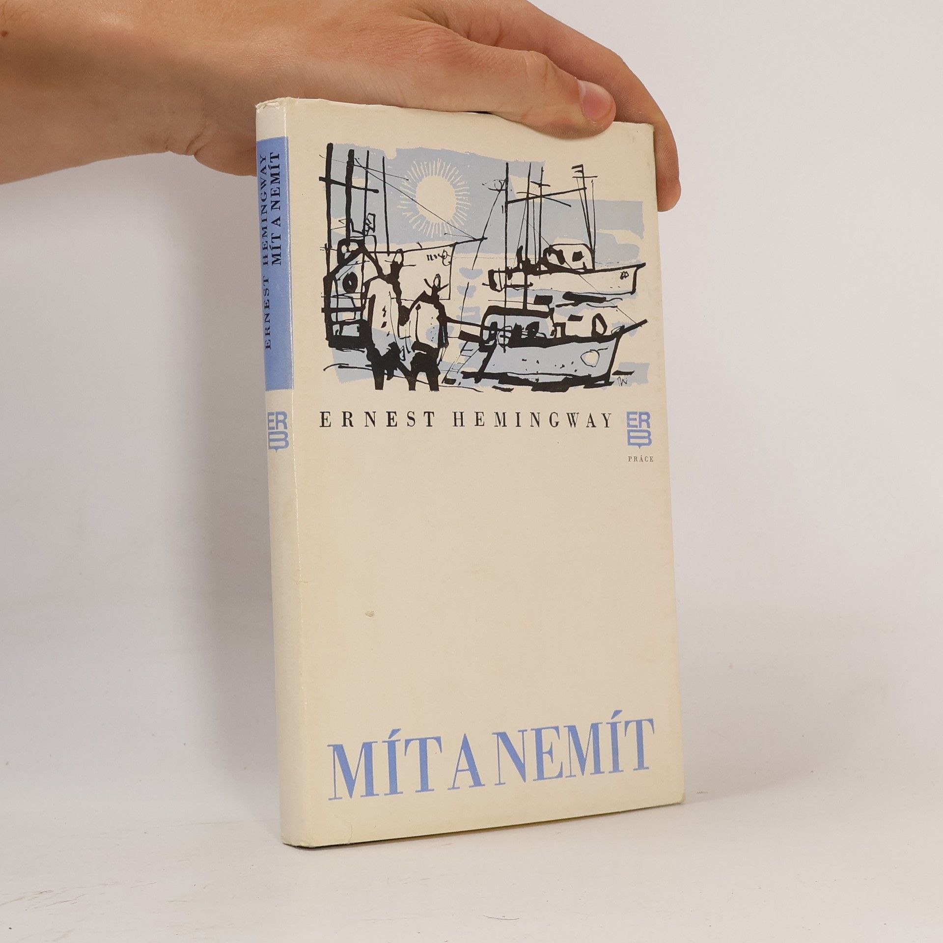 Ernest Hemingway Mít a nemít