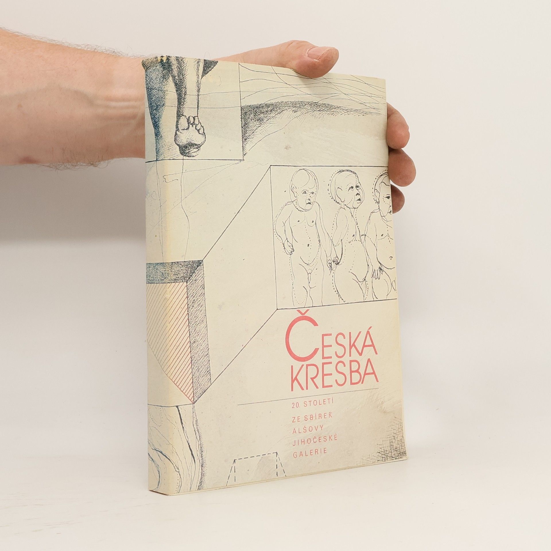 Kolektív autorov Česká kresba 20. století. Ze sbírek Alšovy jihočeské galerie