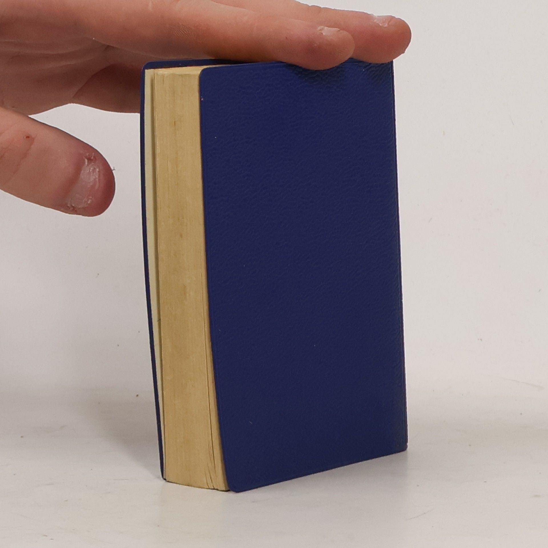 Autorenkollektiv Langenscheidts Universal-Wörterbuch: Spanisch