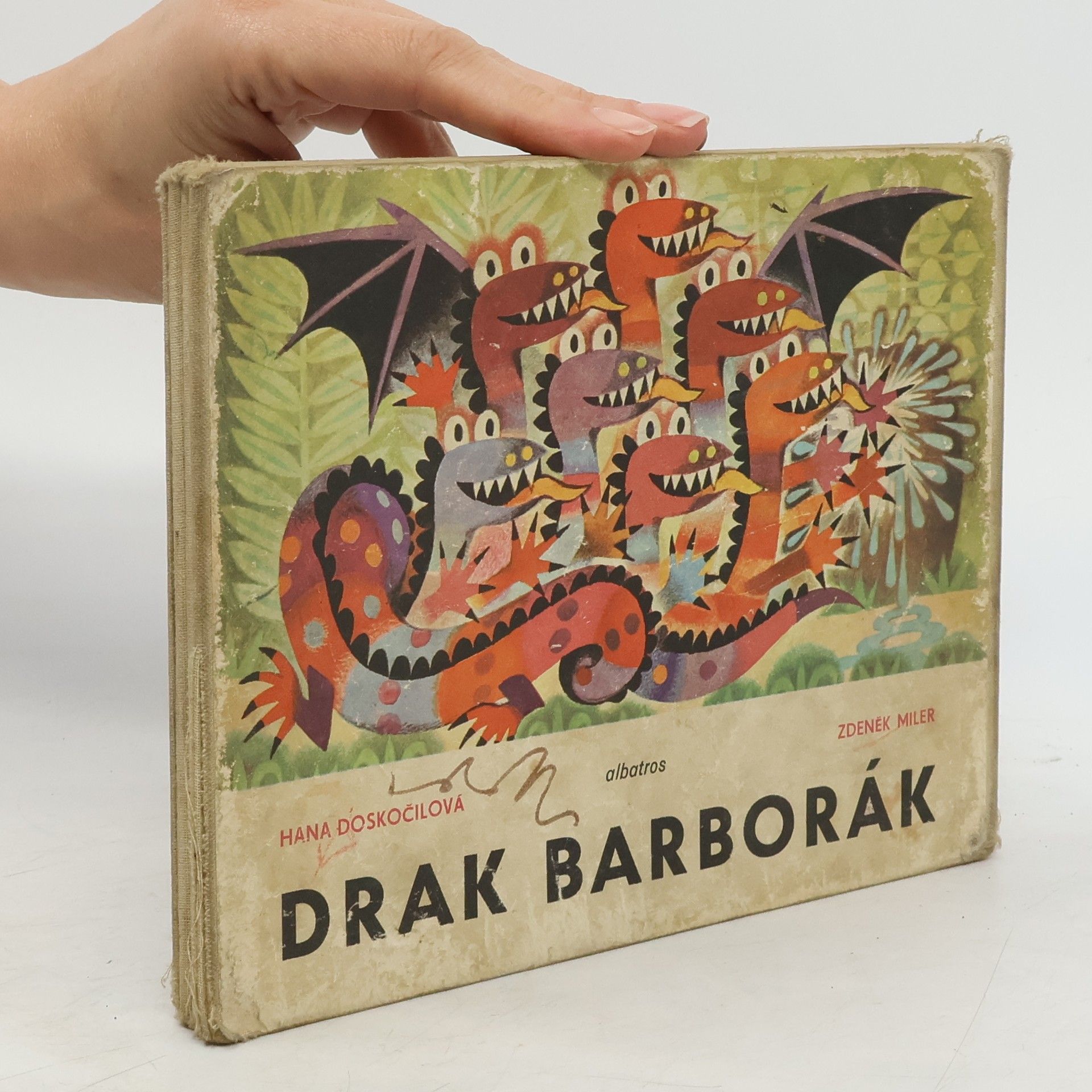 Hana Doskočilová Drak Barborák