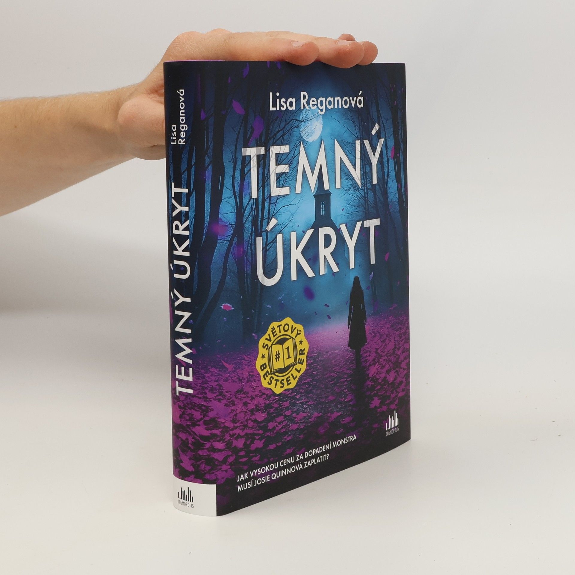 Lisa Regan Temný úkryt