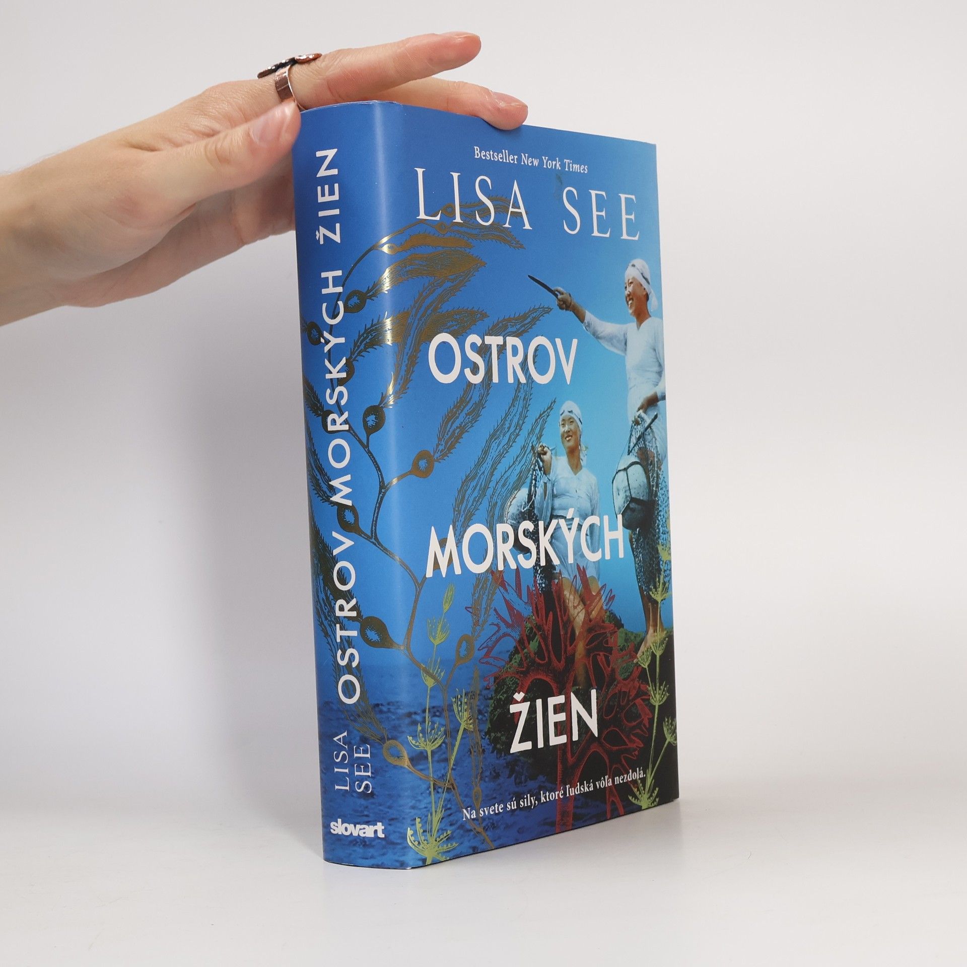 Lisa See Ostrov morských žien