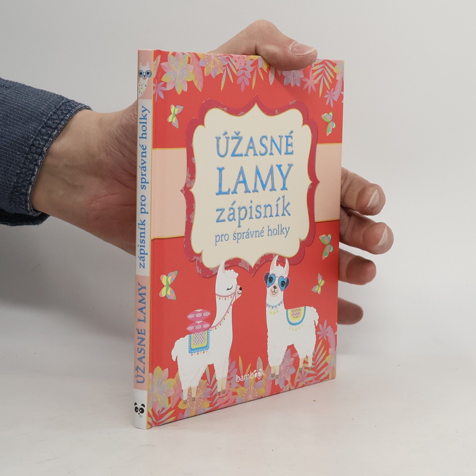 Autorenkollektiv Úžasné lamy - Zápisník pro správné holky