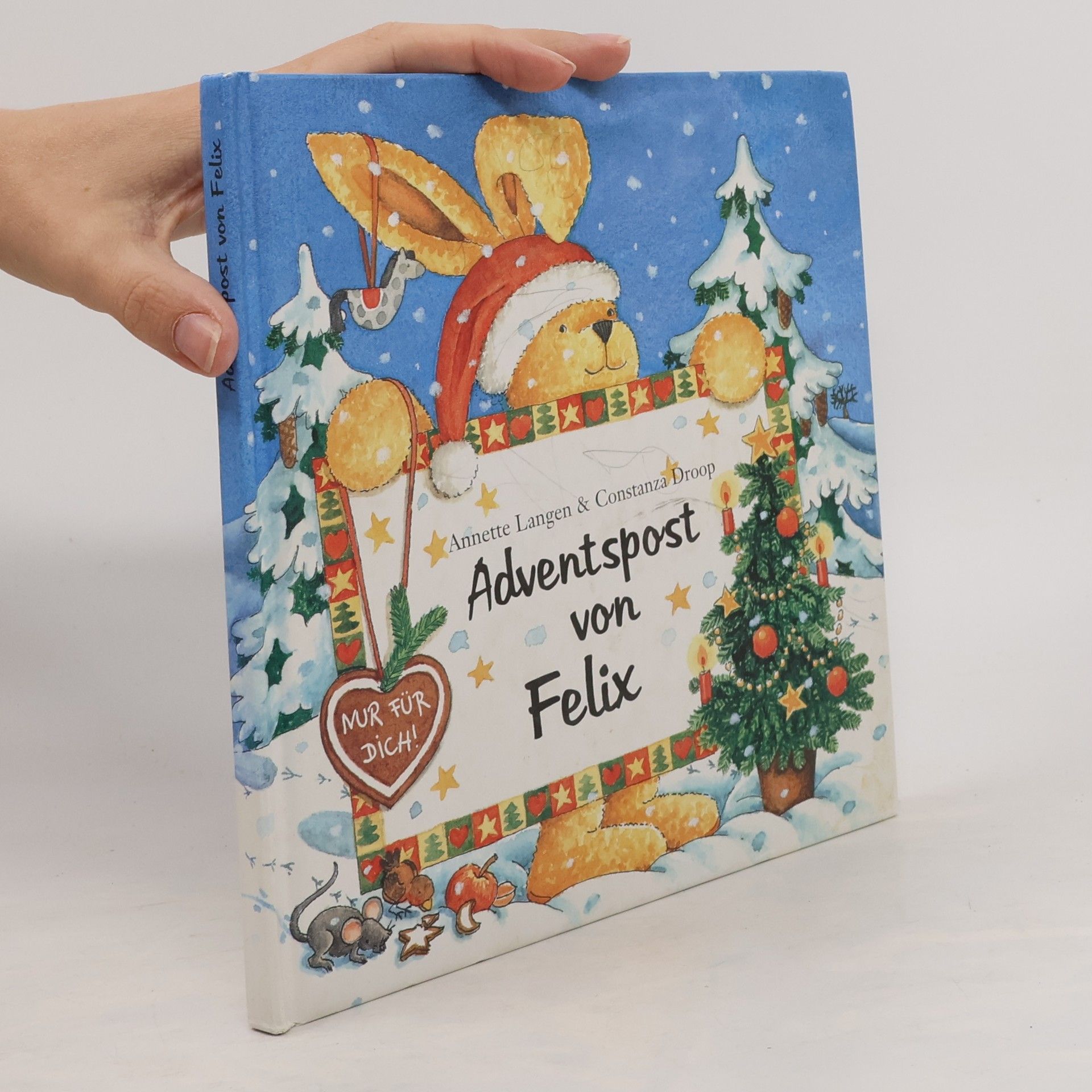 Constanza Droop Adventspost von Felix