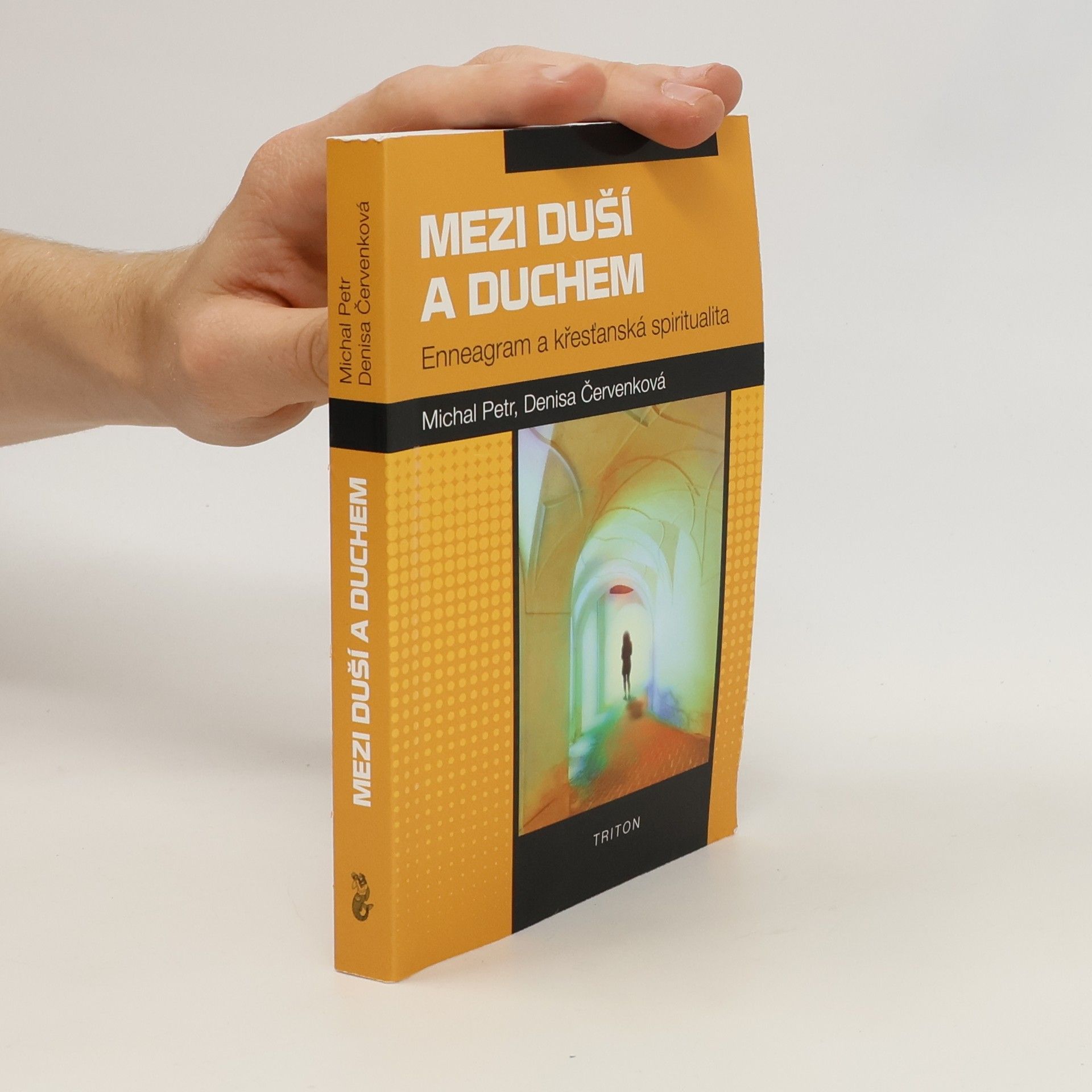 Michal Petr Mezi duší a duchem. Enneagram a křesťanská spiritualita.