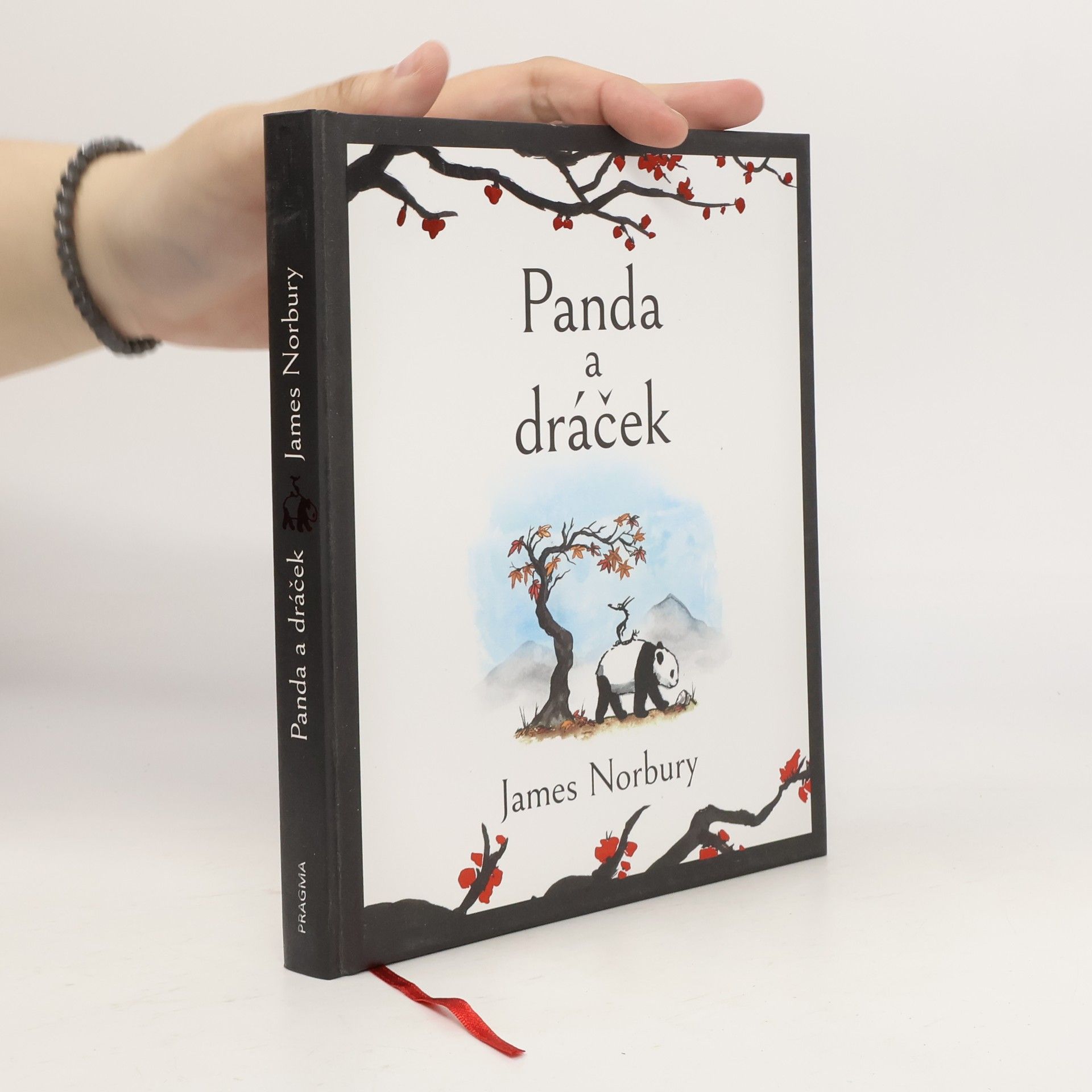 James Norbury Panda a dráček