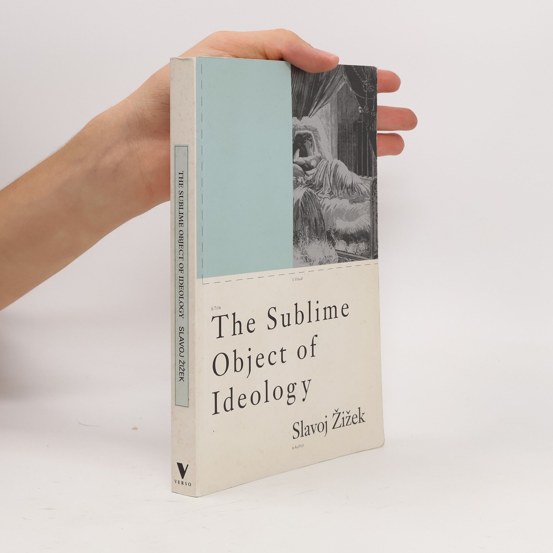 Slavoj Žižek The sublime object of ideology