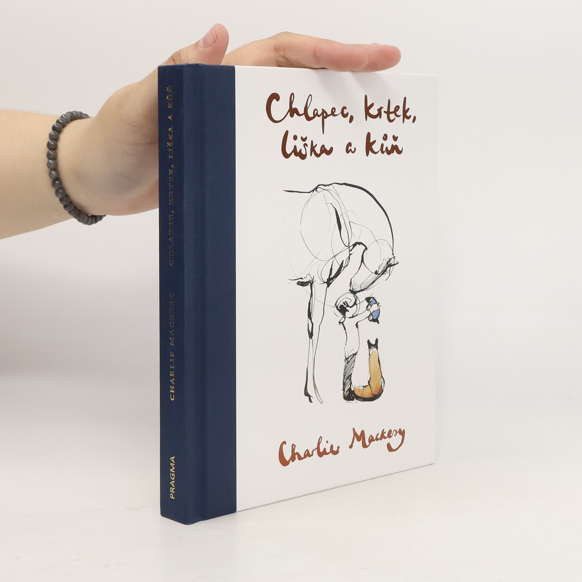 Charlie Mackesy Chlapec, krtek, liška a kůň