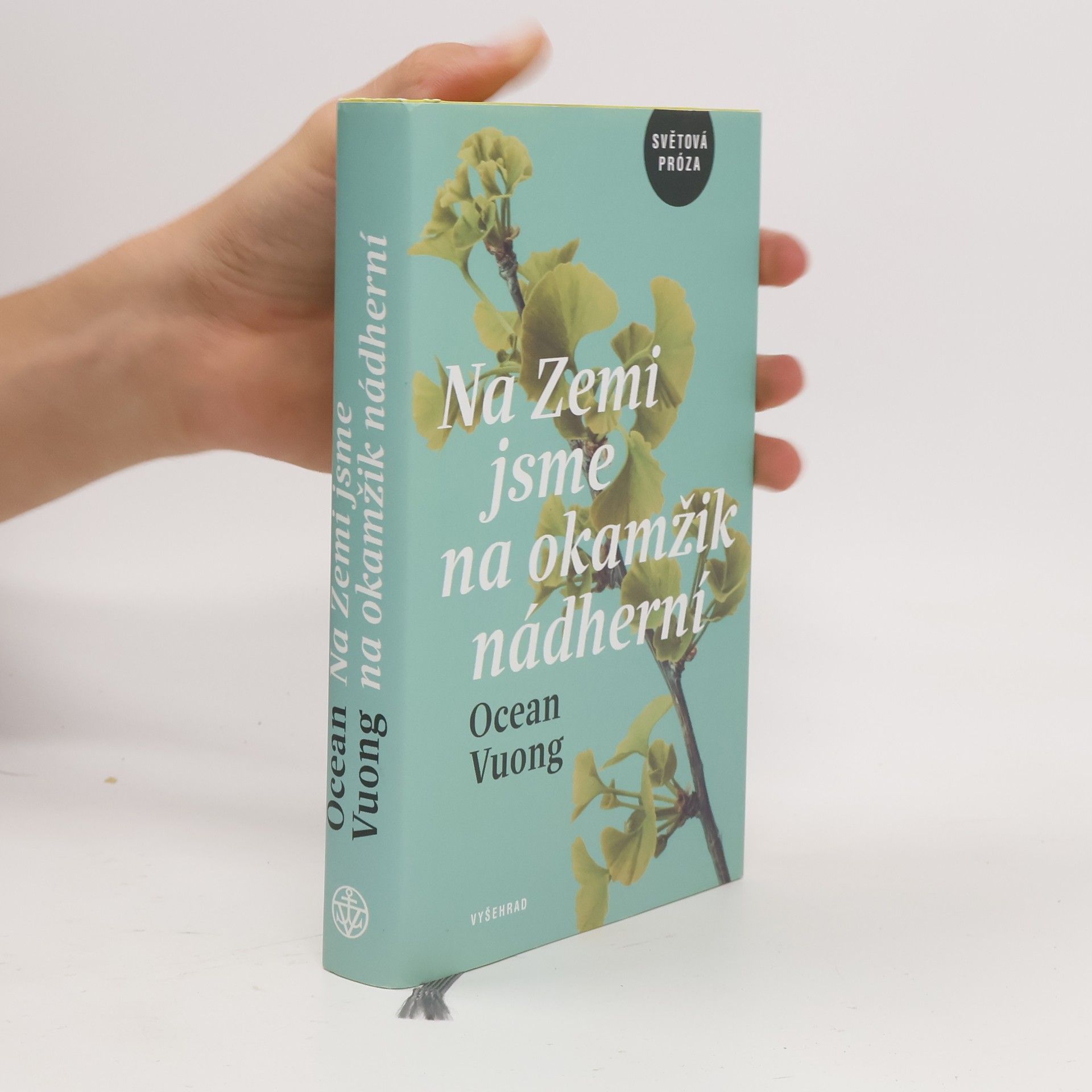 Ocean Vuong Na Zemi jsme na okamžik nádherní