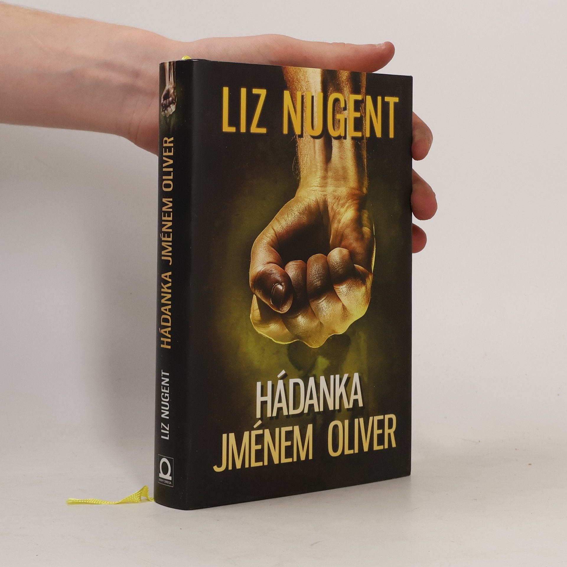Liz Nugent Hádanka jménem Oliver