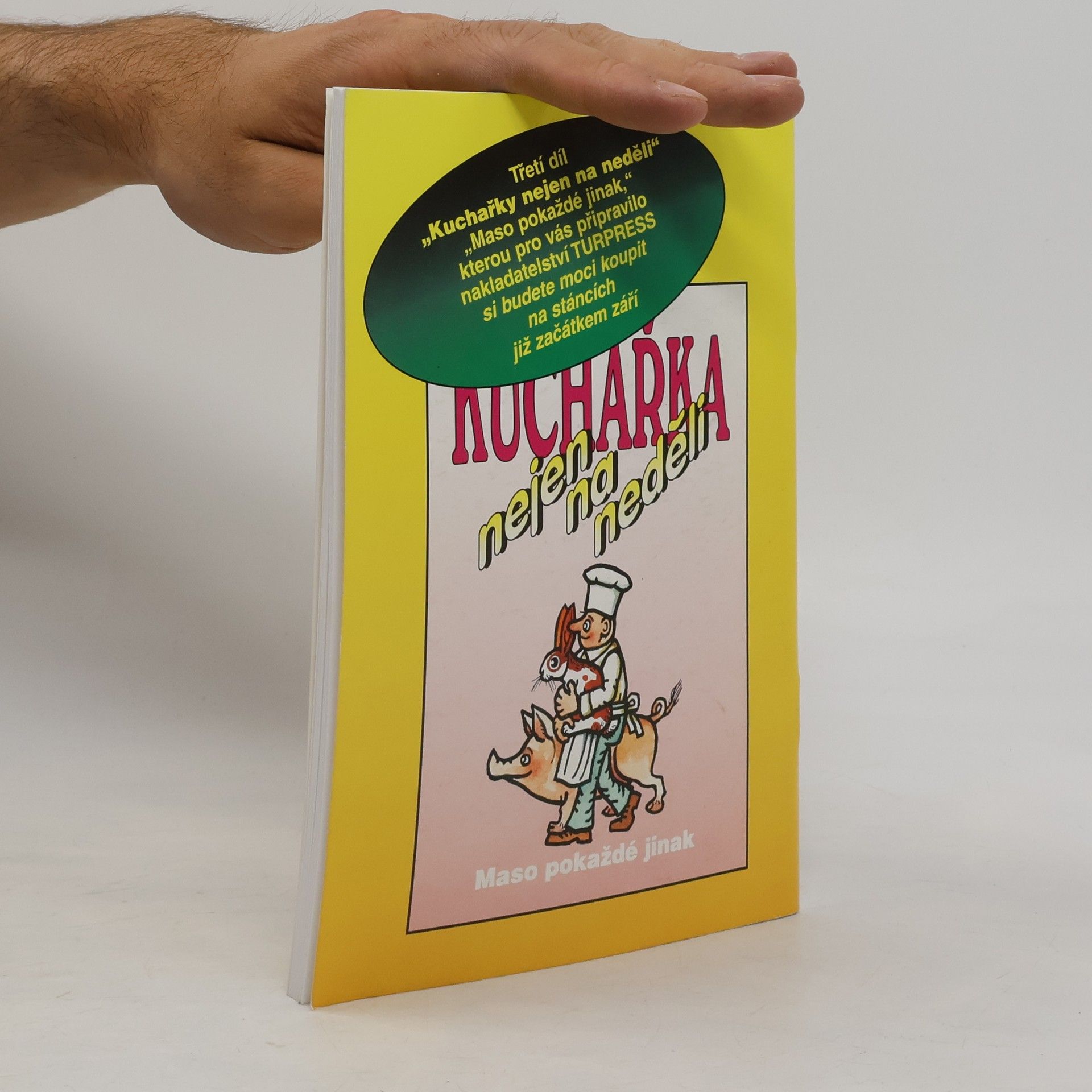 Various authors Kuchařka nejen na neděli. Levné letní pokrmy a saláty