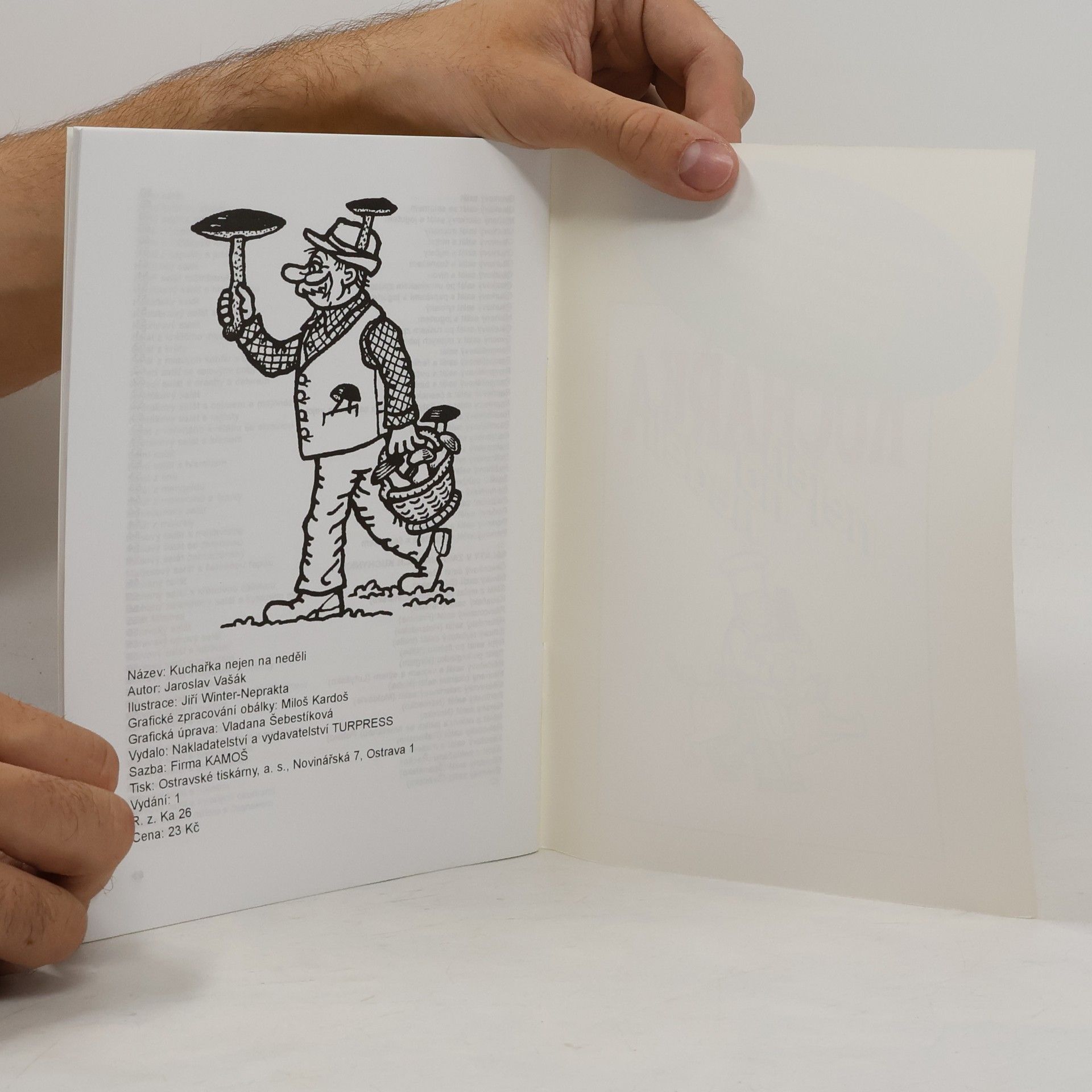 Various authors Kuchařka nejen na neděli. Levné letní pokrmy a saláty