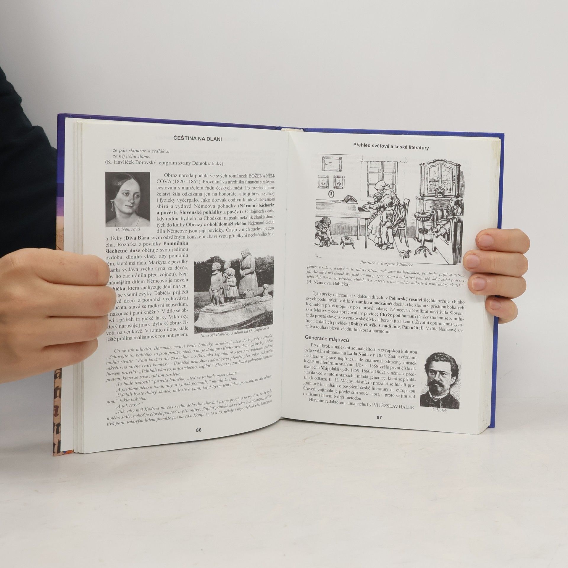 Alois Bauer Čeština na dlani: Přehled světové a české literatury, český jazyk