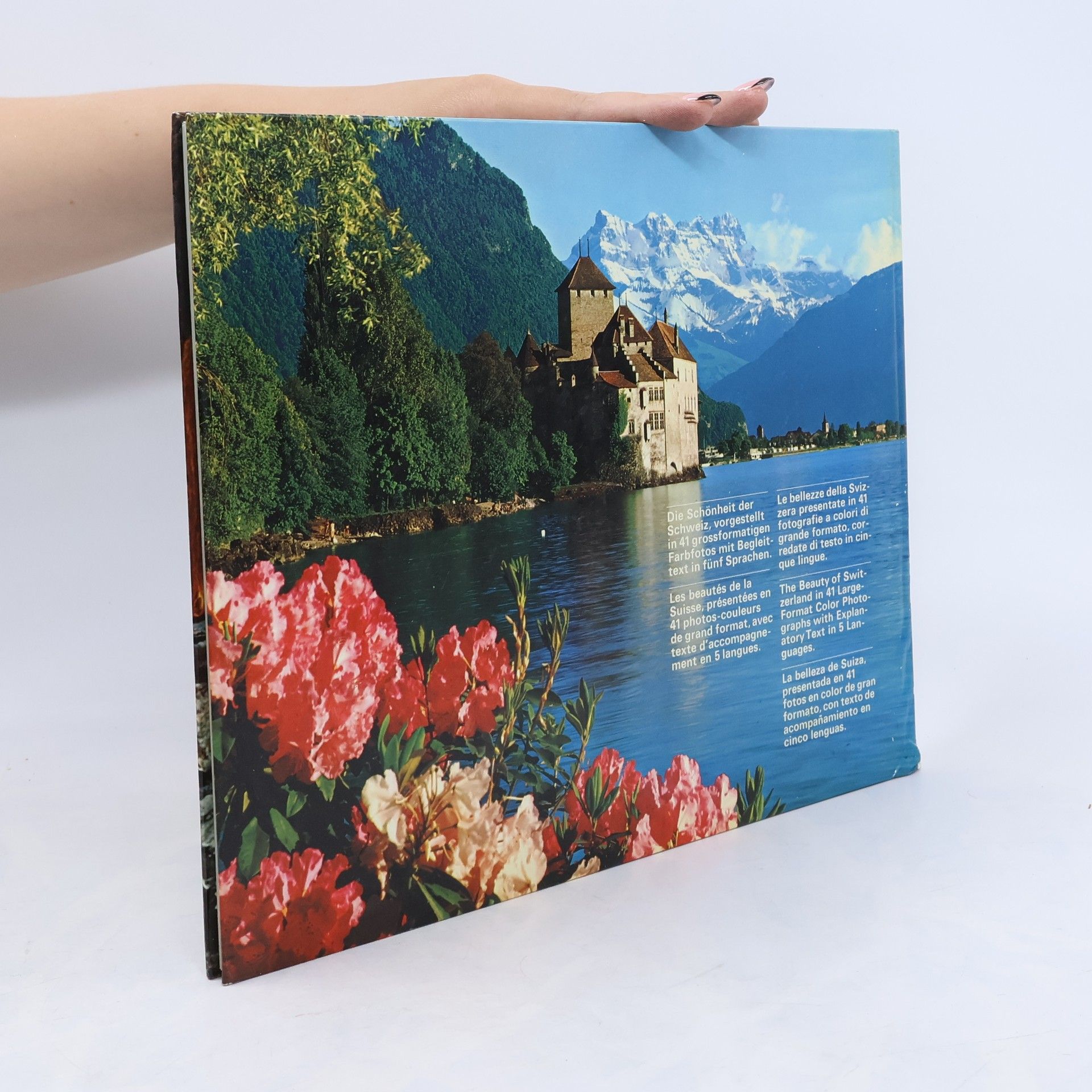 Autorenkollektiv Schweiz. Suisse. Svizzera. Switzerland. Suiza